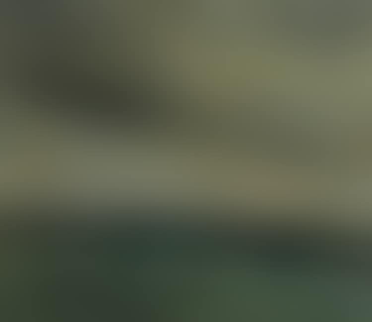 Seascape (preview)