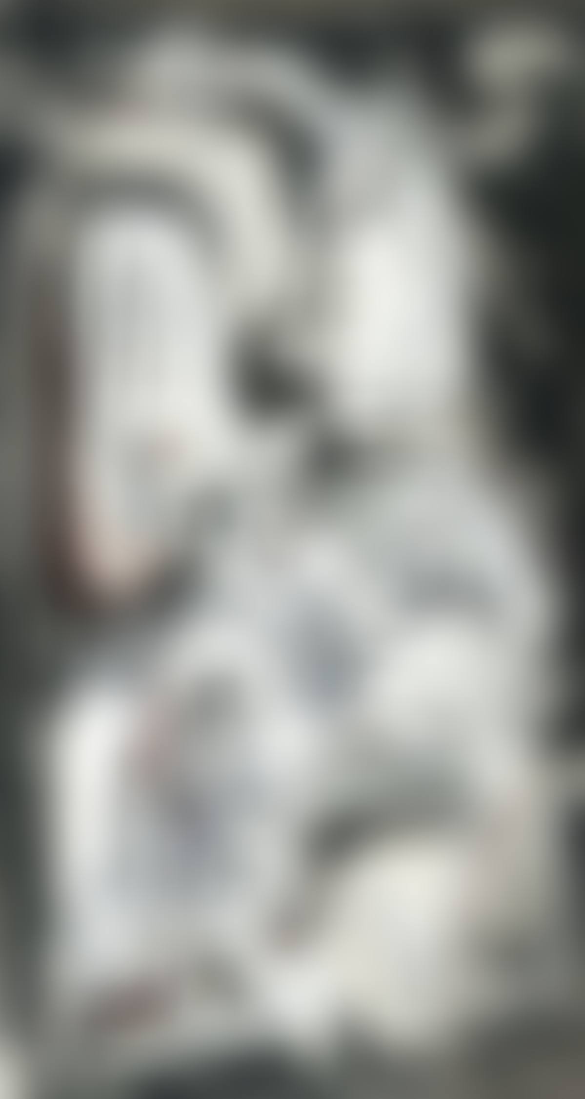 Assis (preview)