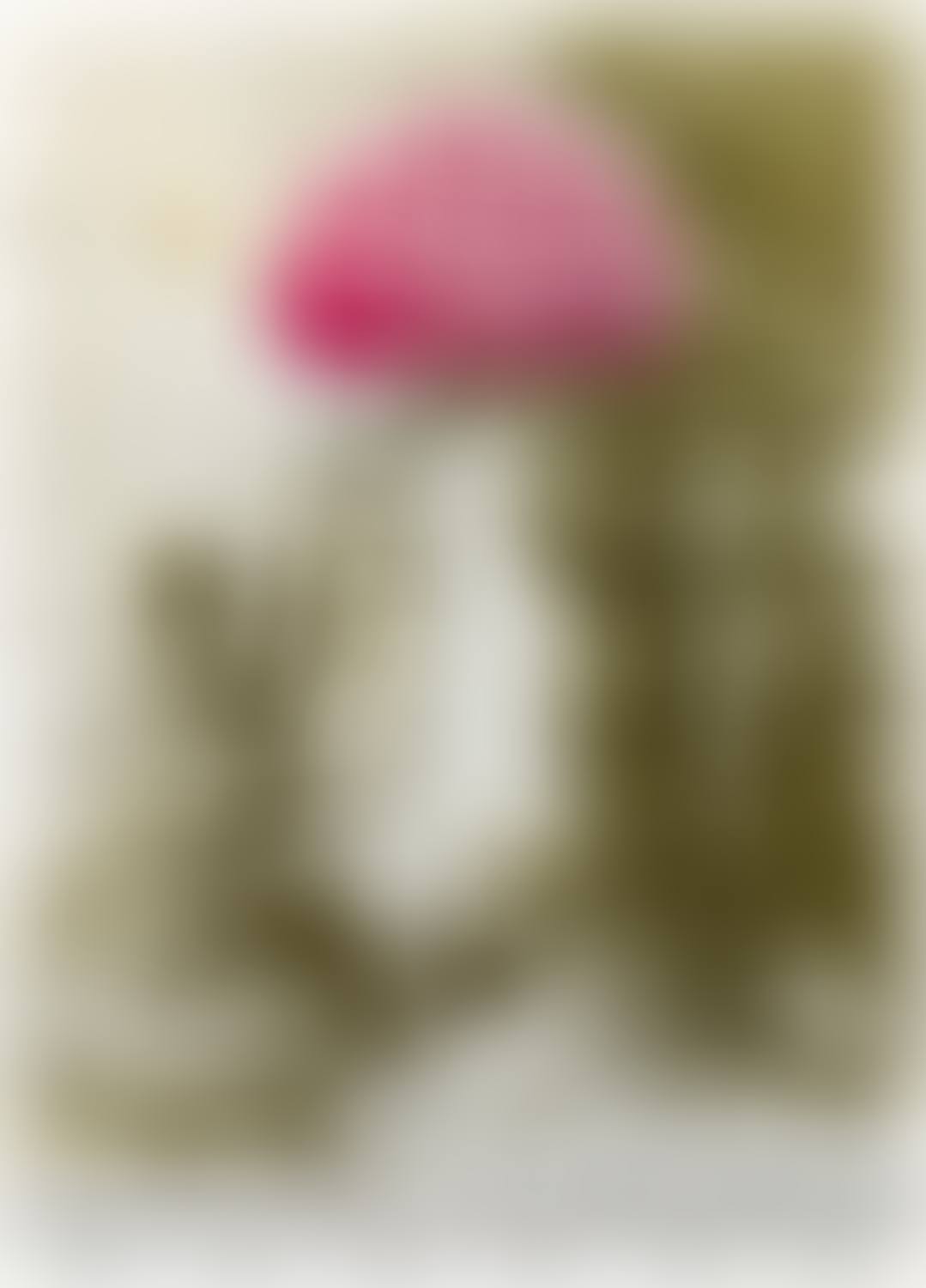 Mu nieltnam netorruprup (preview)