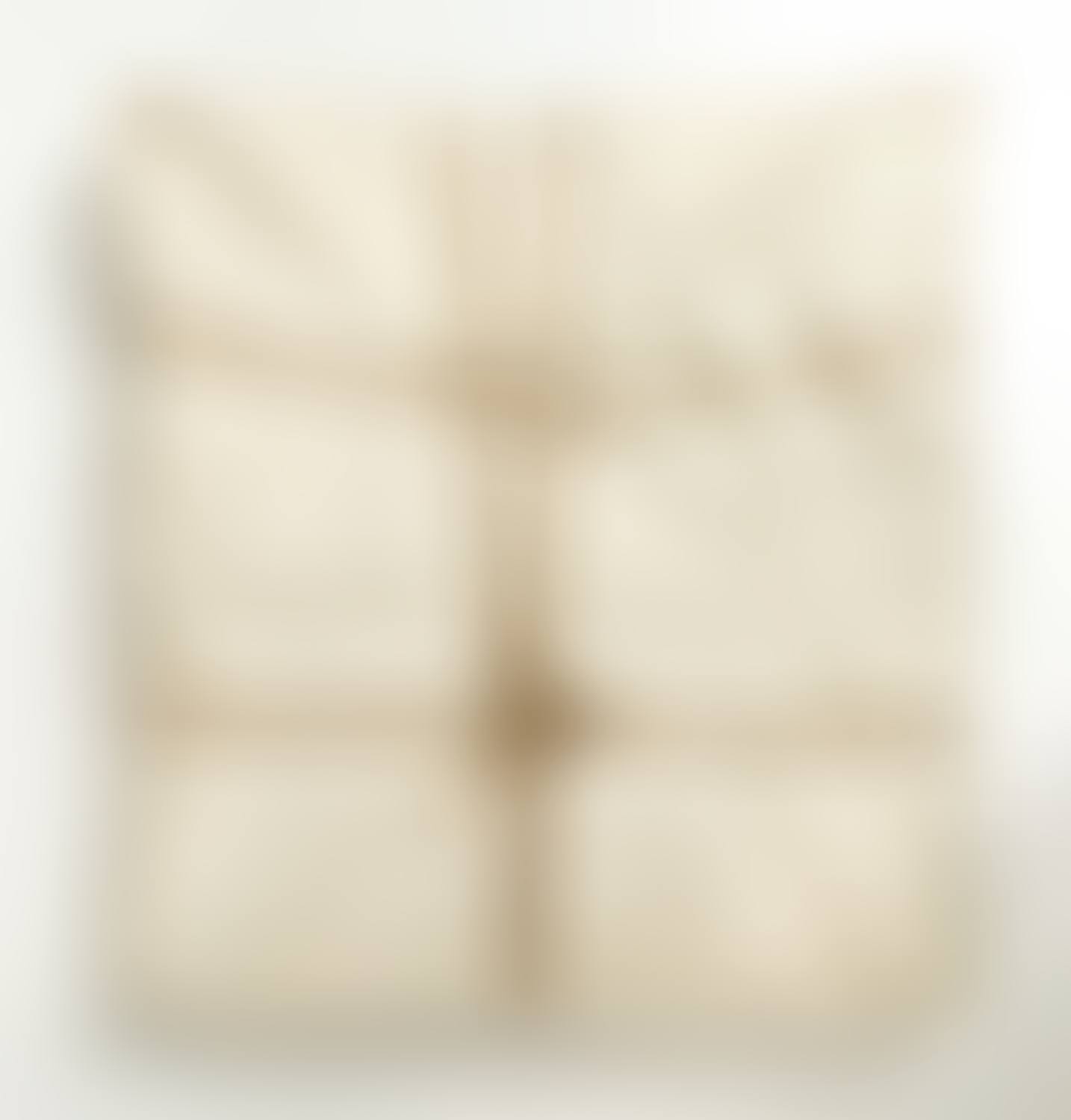 U.S.A.; Wrapped Book (preview)