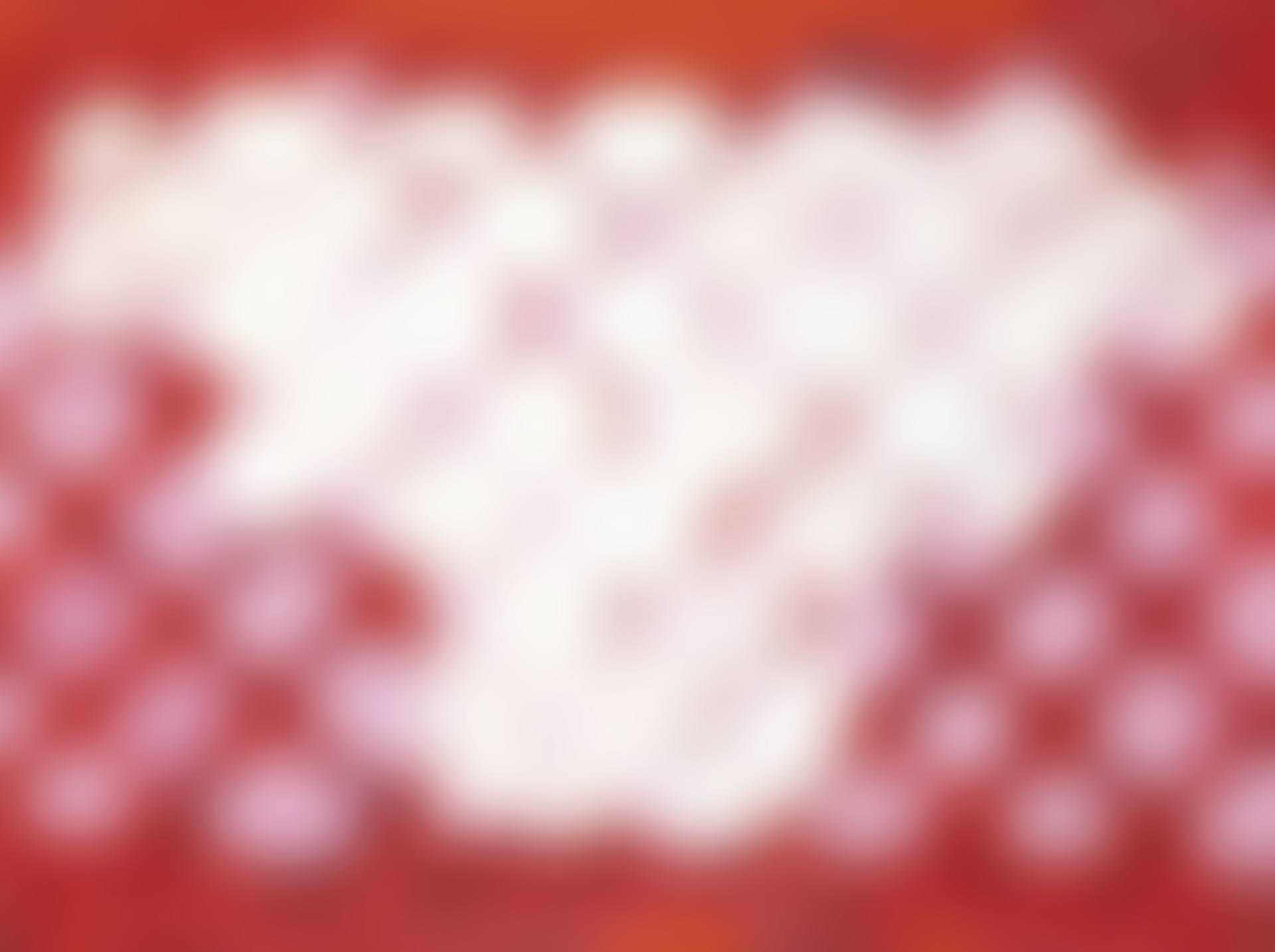 Filter Set/4 (preview)