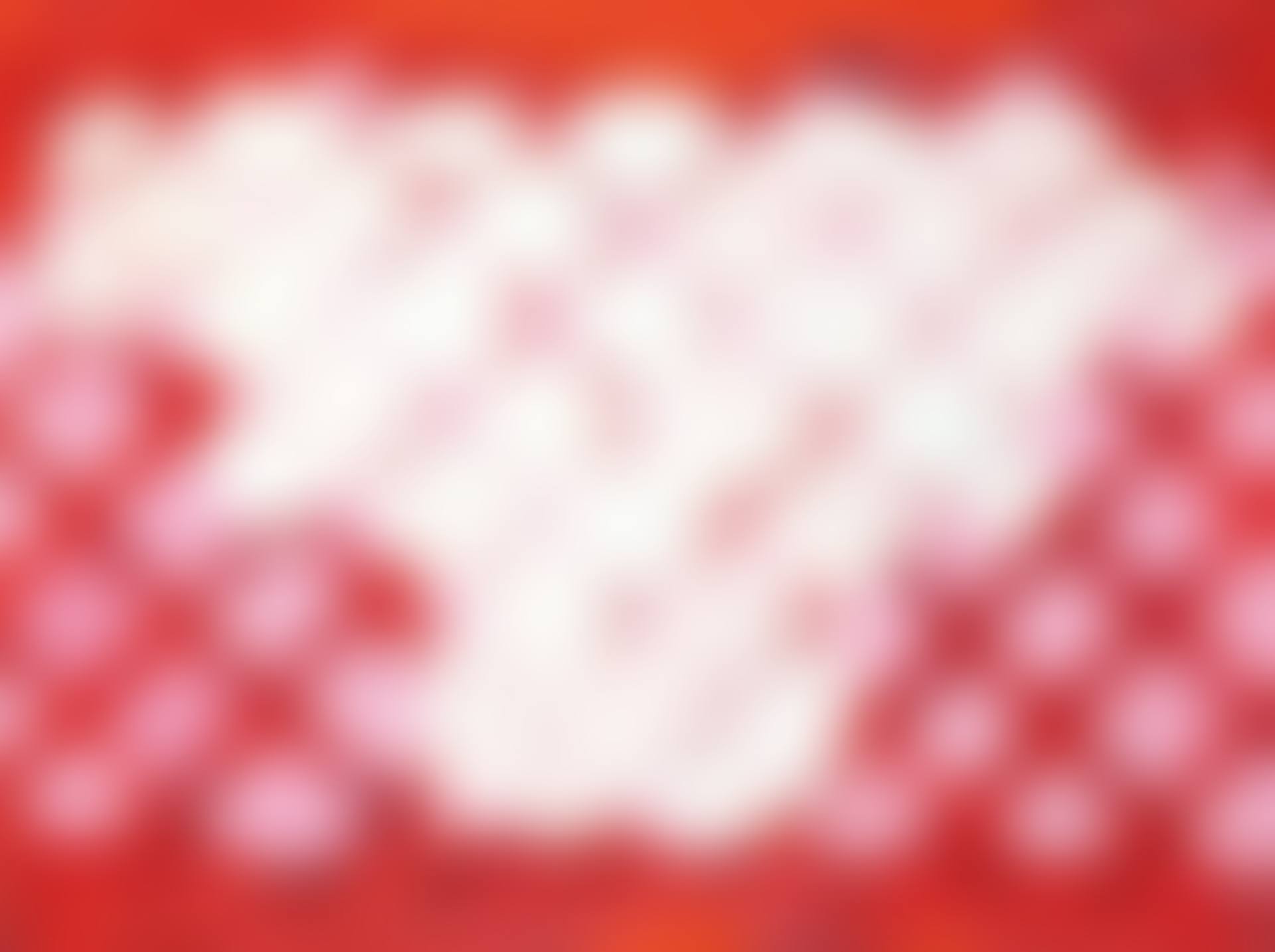 United States; Filter Set/4 (preview)