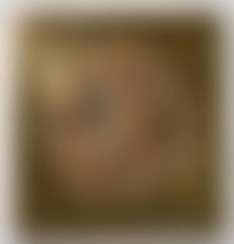 Disco (preview)