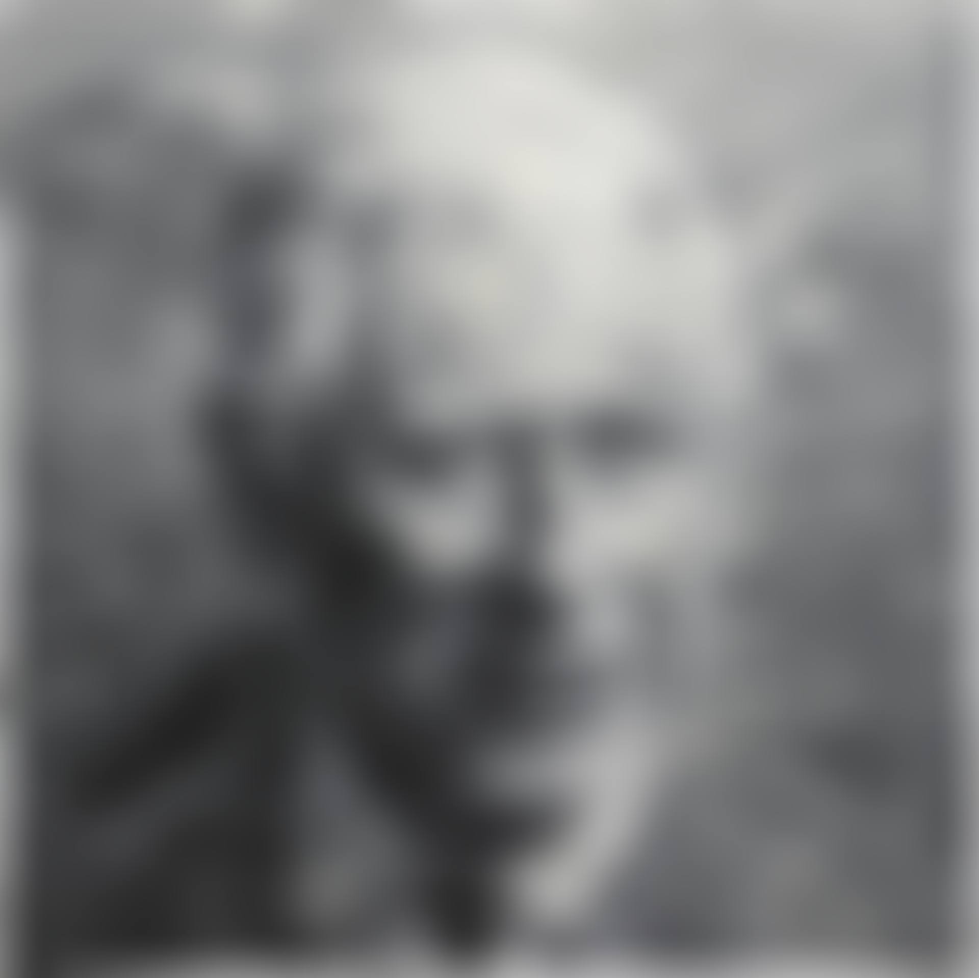 Portrait du Prince Charles de Galles (preview)