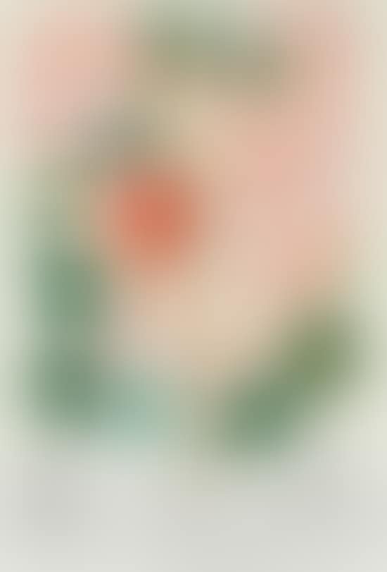 Begonia (Anacardium Recordans) (preview)