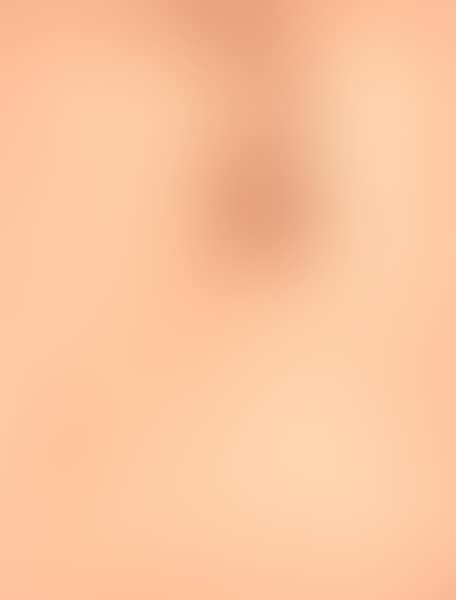 Honey Possum (preview)