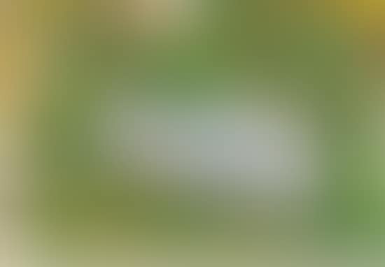 The Cat"s Garden (preview)