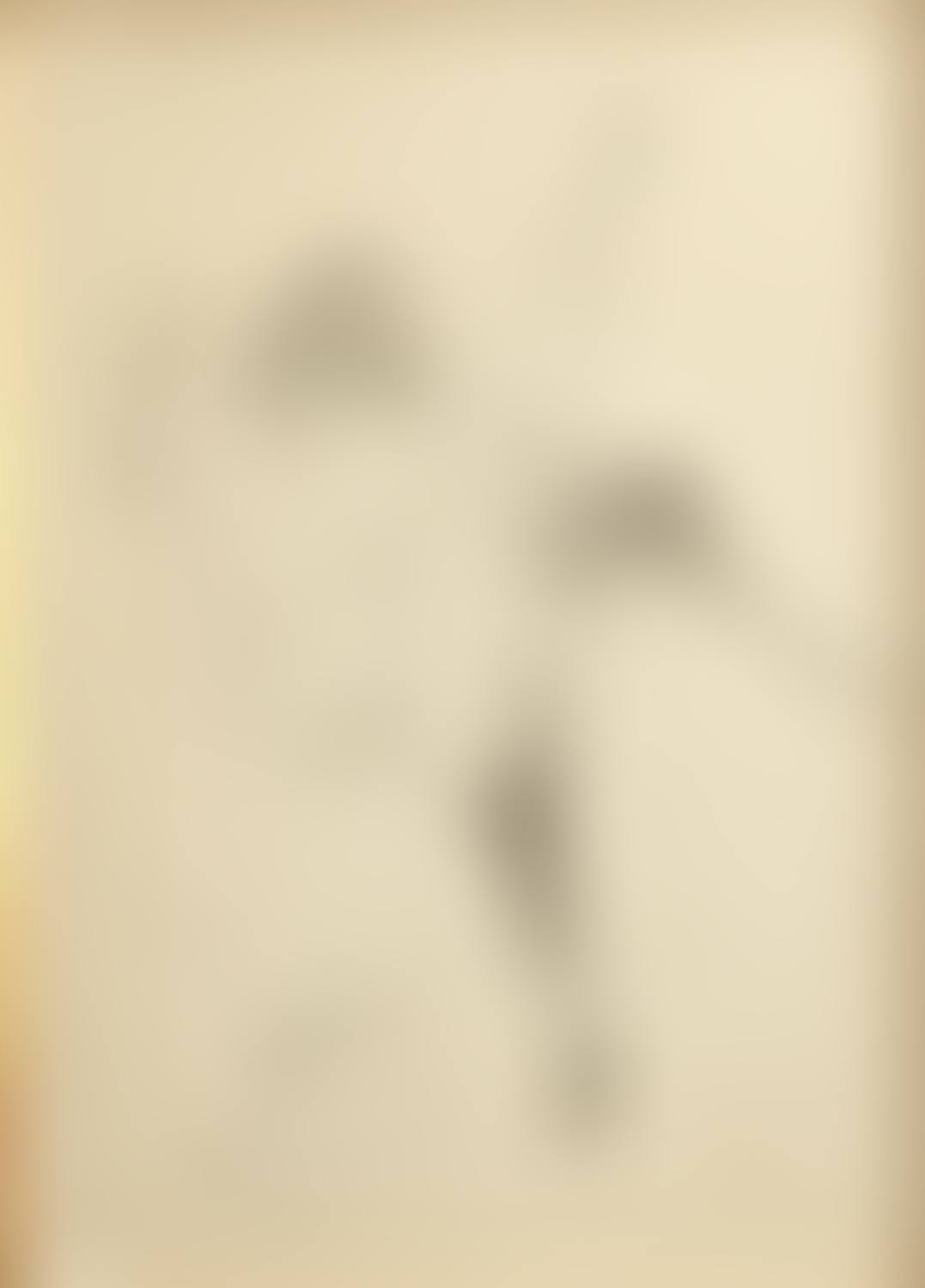 LOCATION SYDNEY OFFICE - all enquiries phone 02 9362 9045); The Rope Dancer (preview)