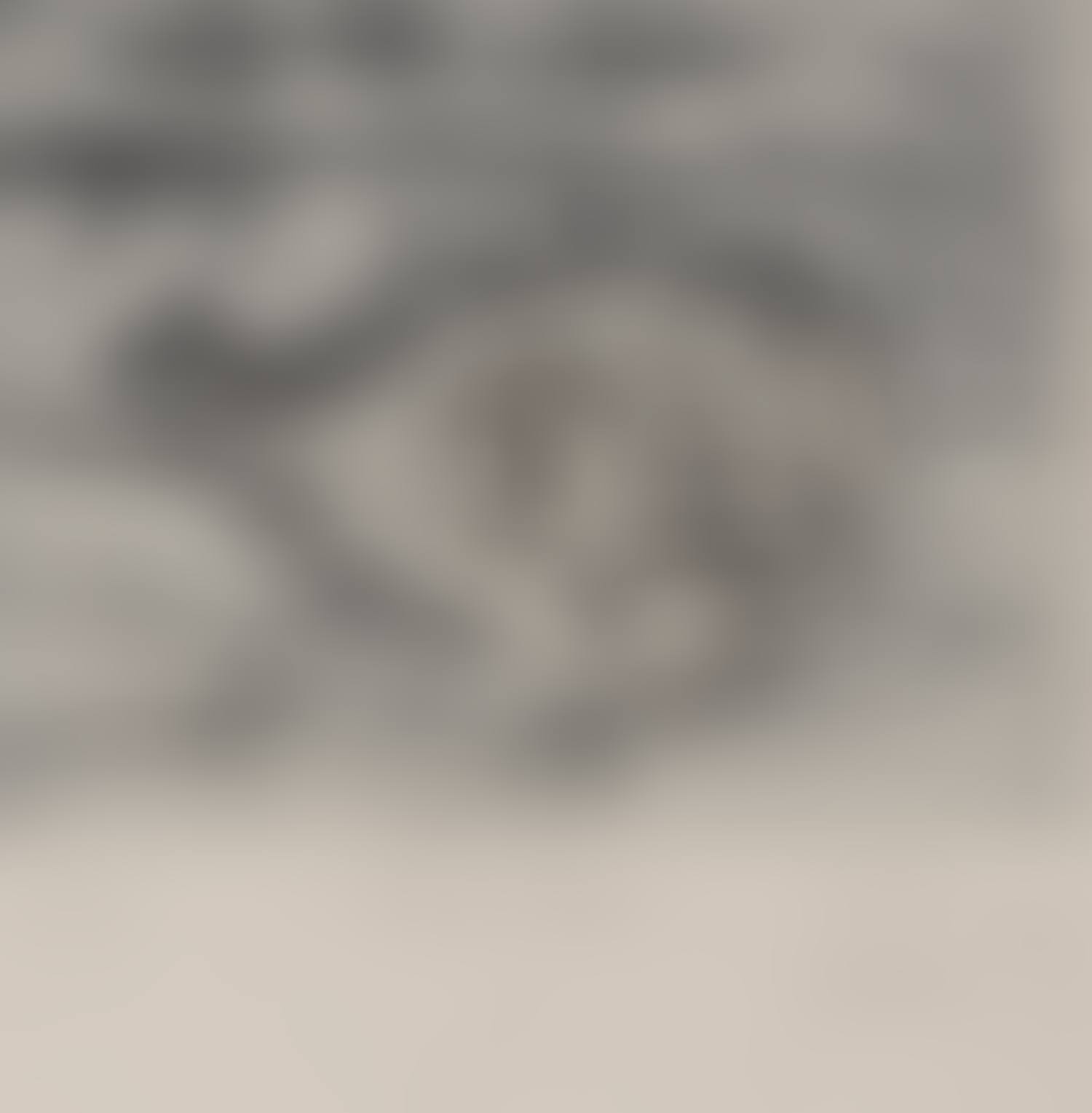 Toad Fish (preview)