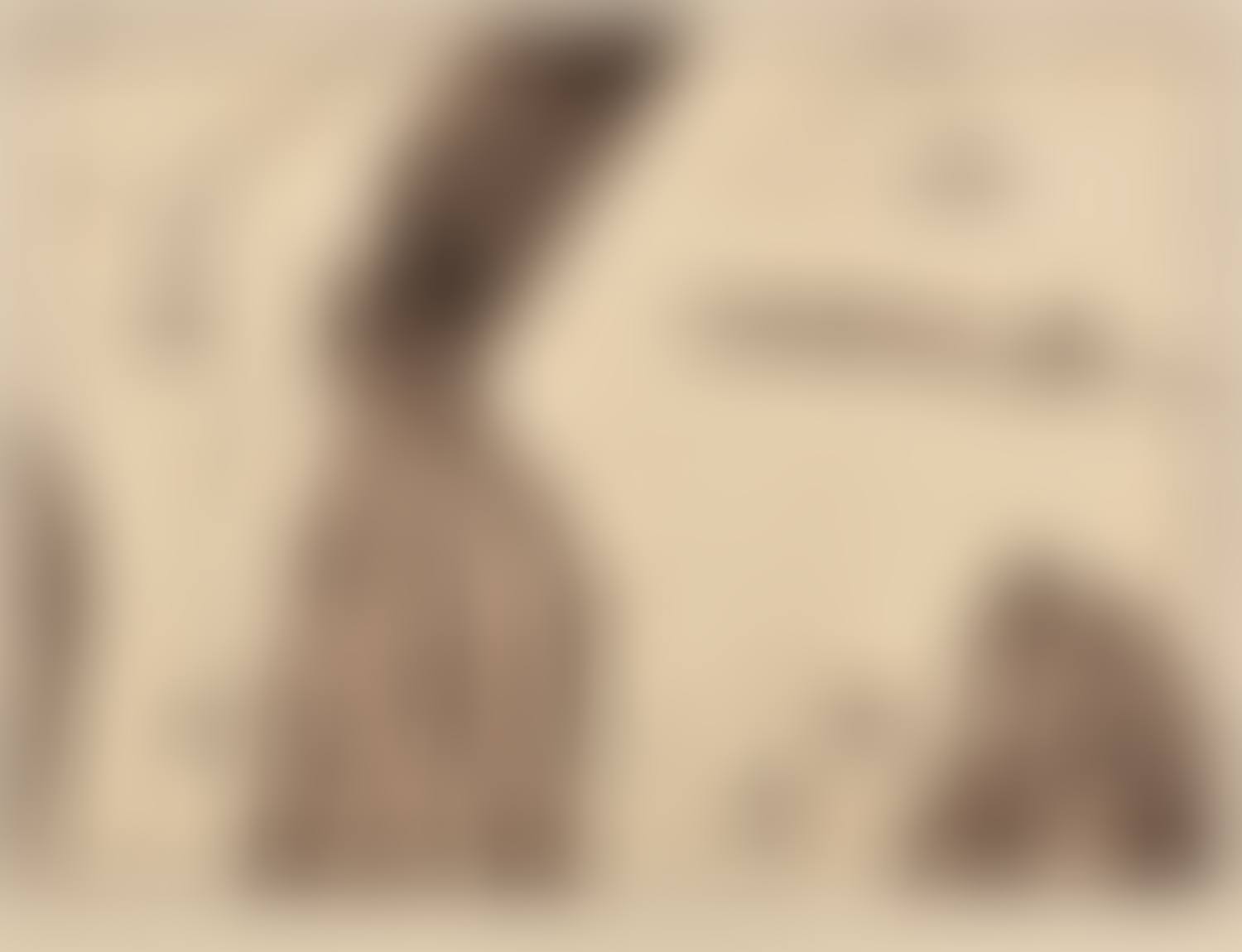 The Slip Arrives (preview)