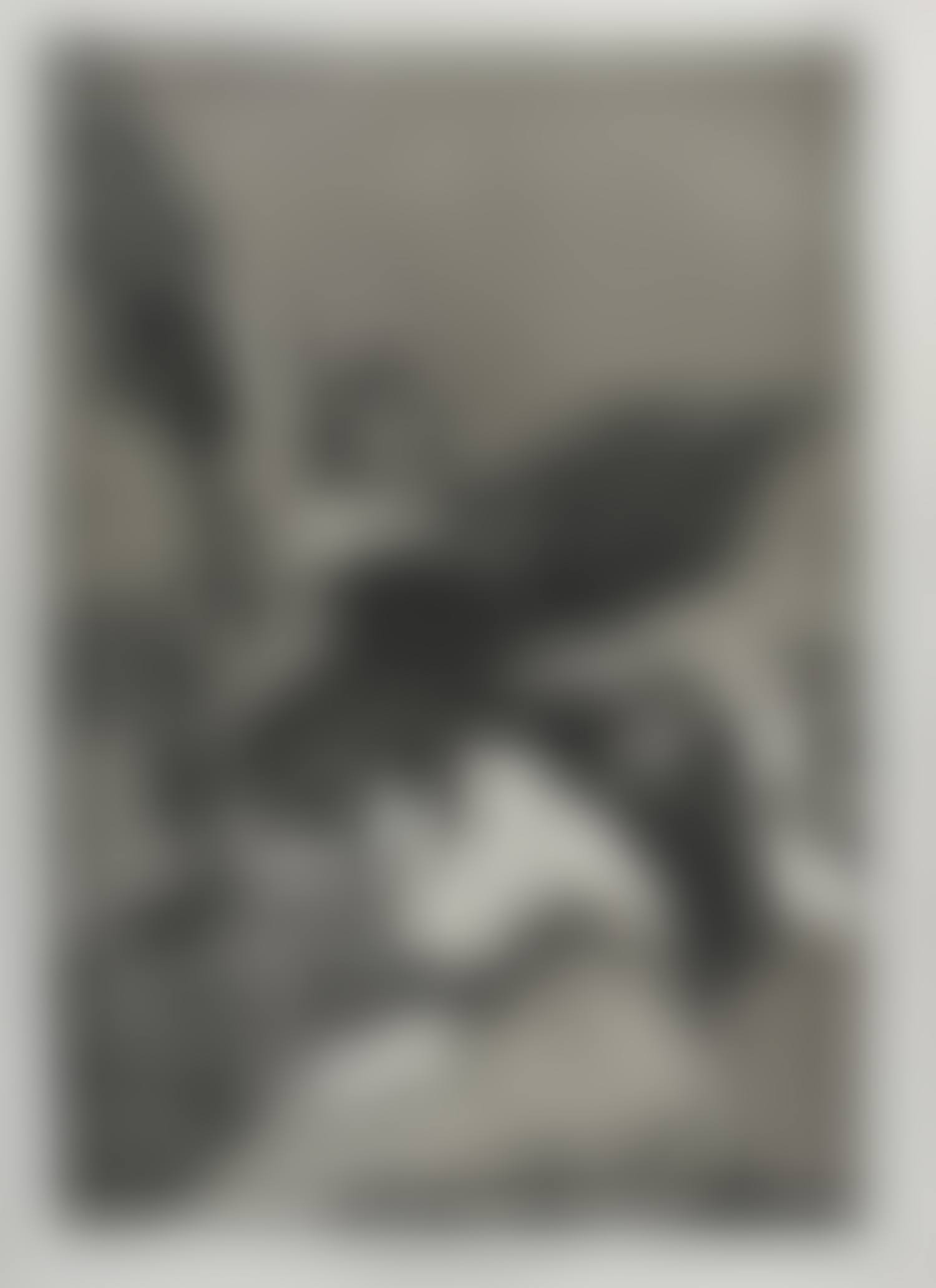 Soplones no.48 (preview)