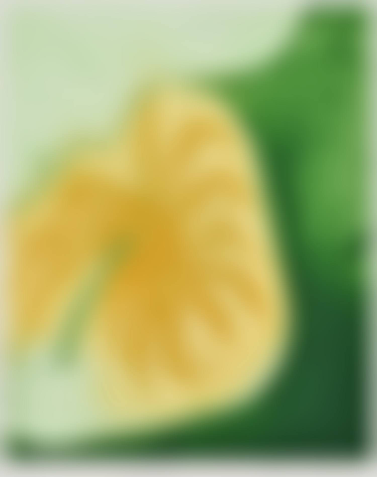 CONTEMPLATION (preview)