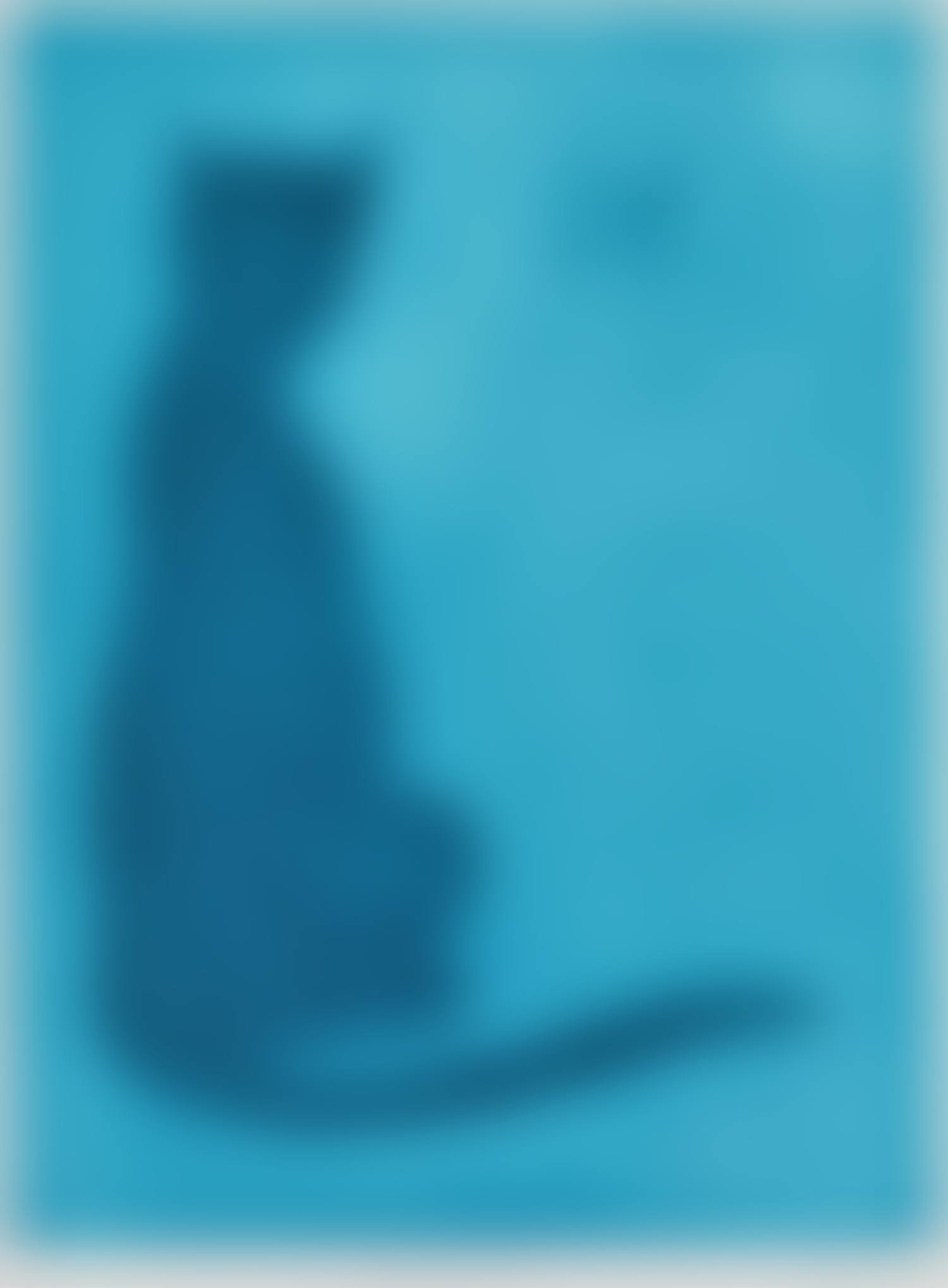 THE BURMESE CAT (preview)