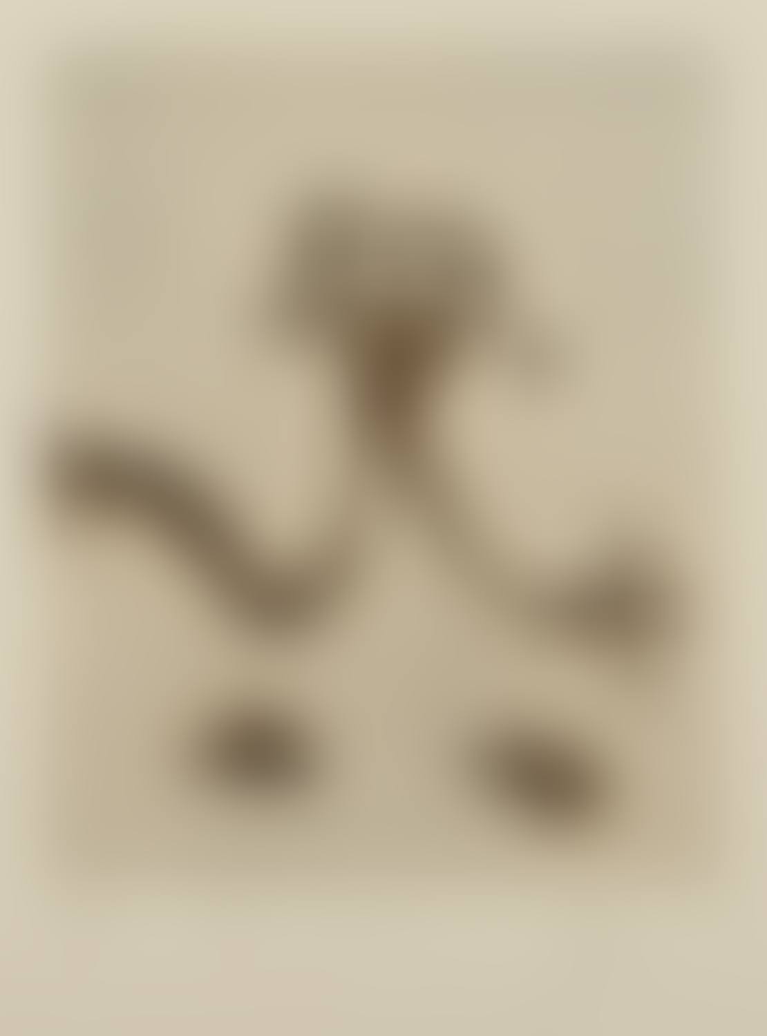 Zen Moment 1999 (preview)