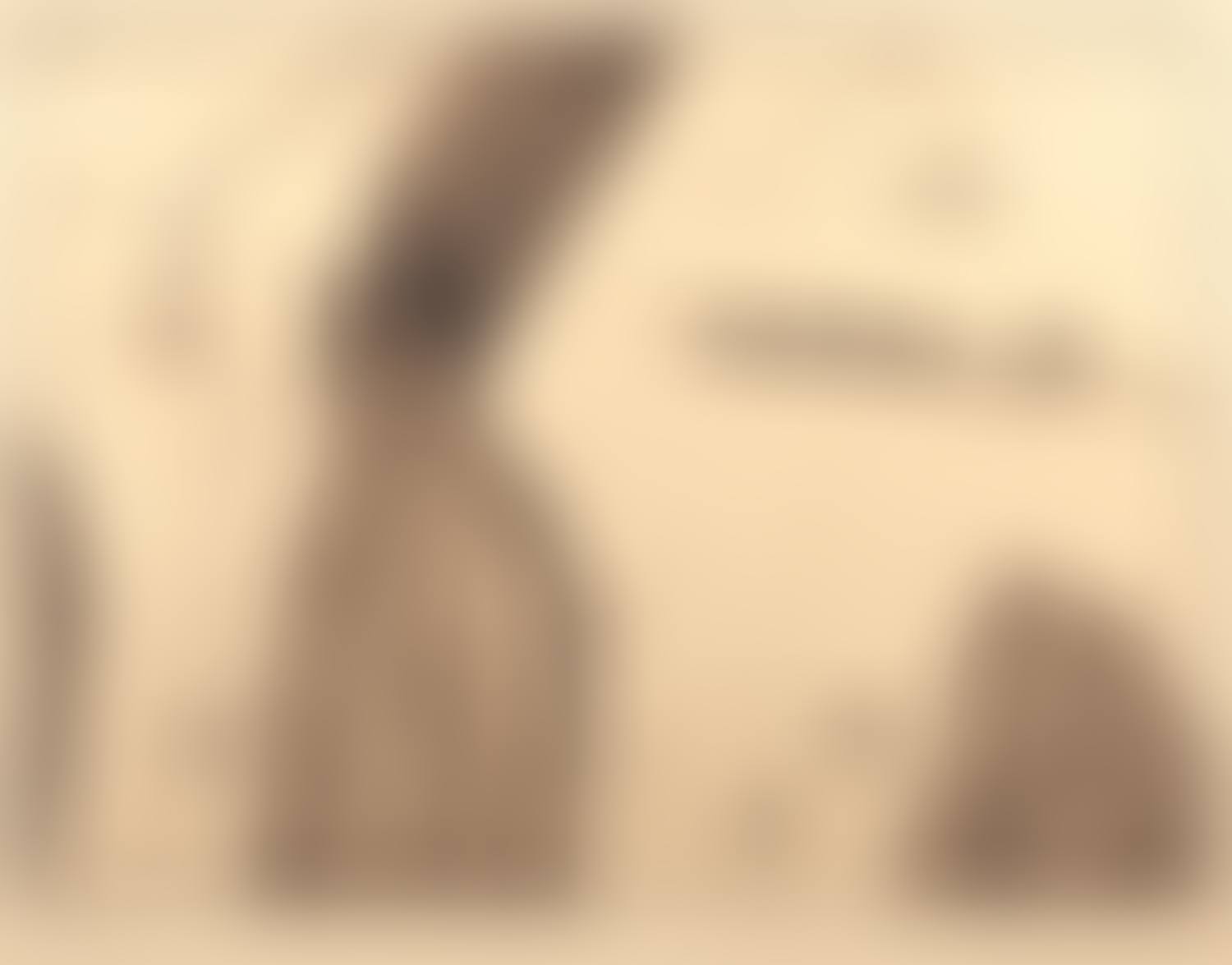 The Ship Arrives (preview)