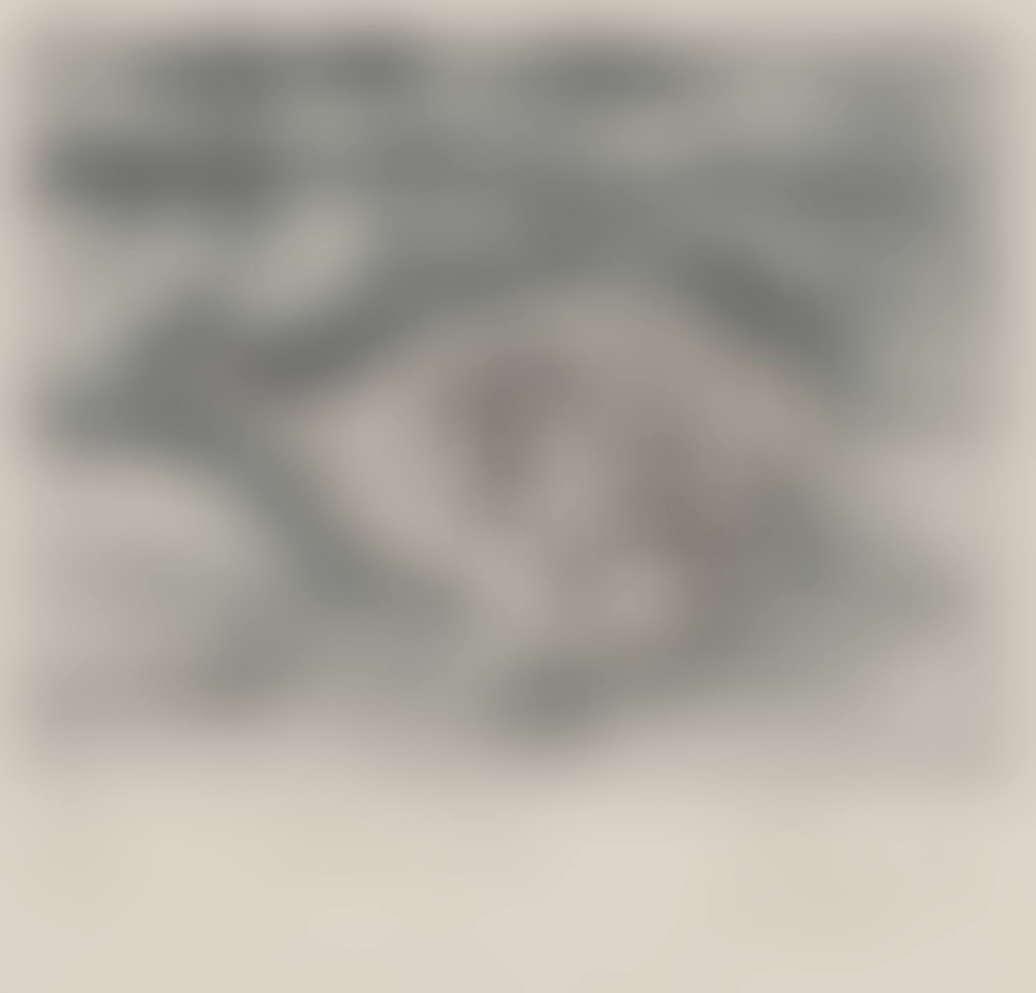 Toad Fish (preview)