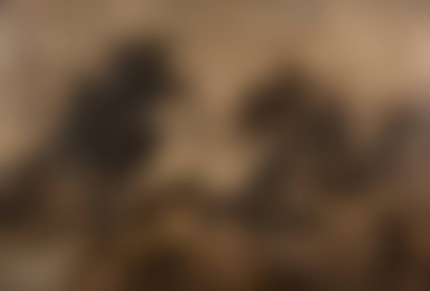 Approaching Storm (Brownhill, Denshaw, United Kingdom) (preview)