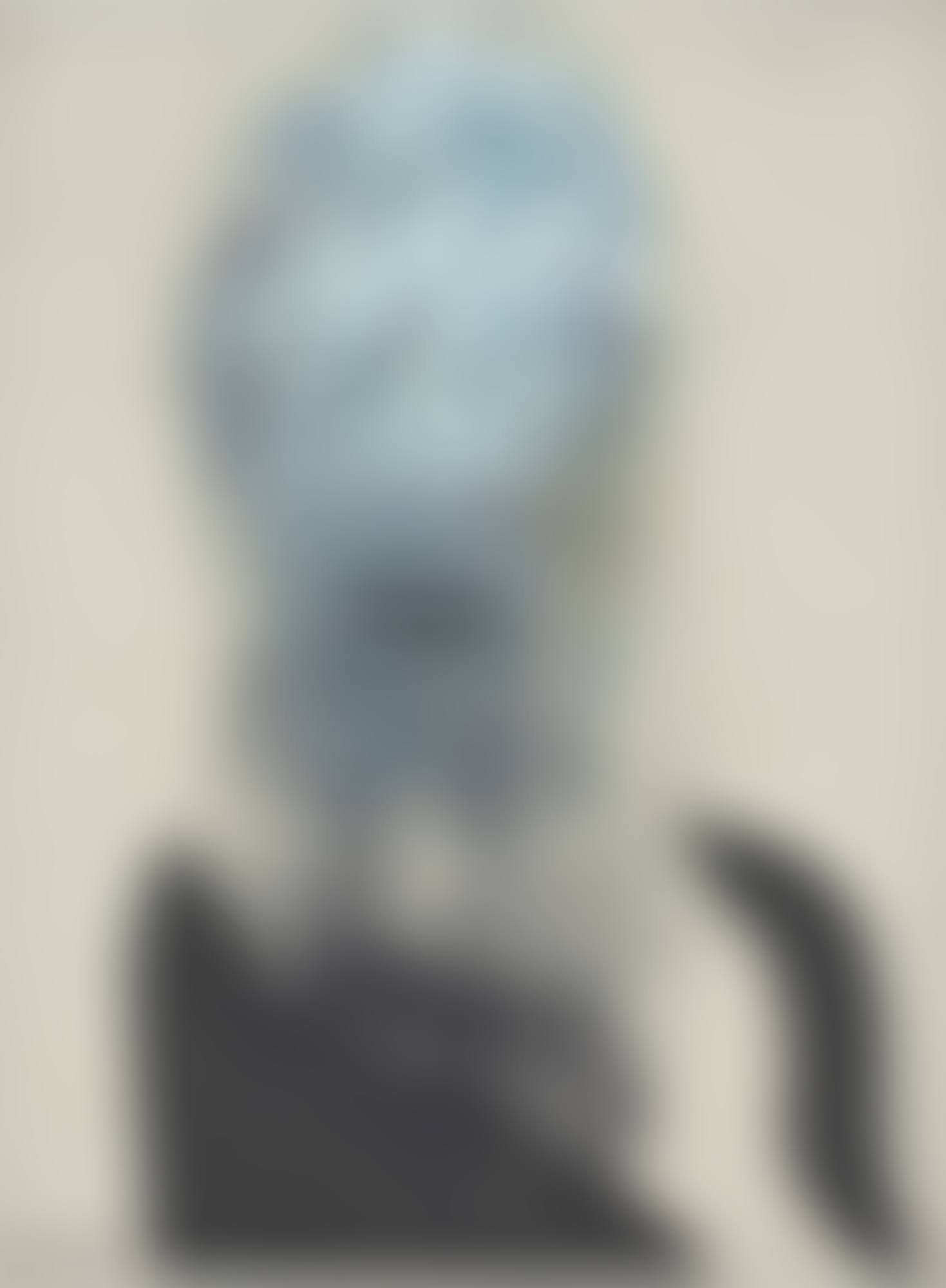 Face 1966 (preview)