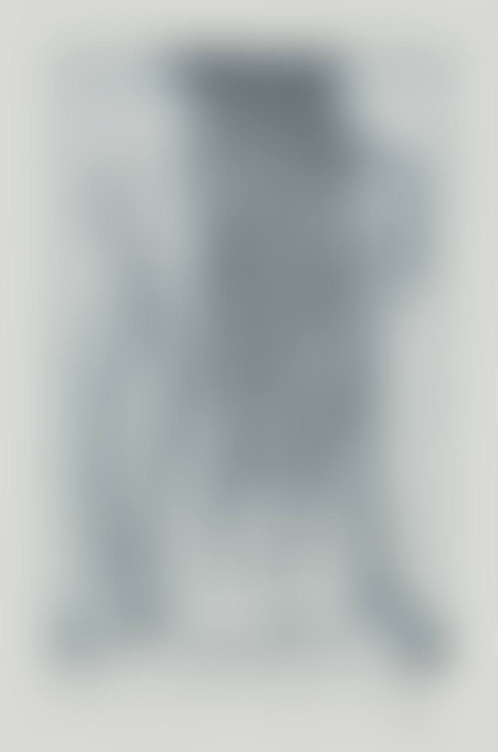 Nude + Flowers - Grey (preview)