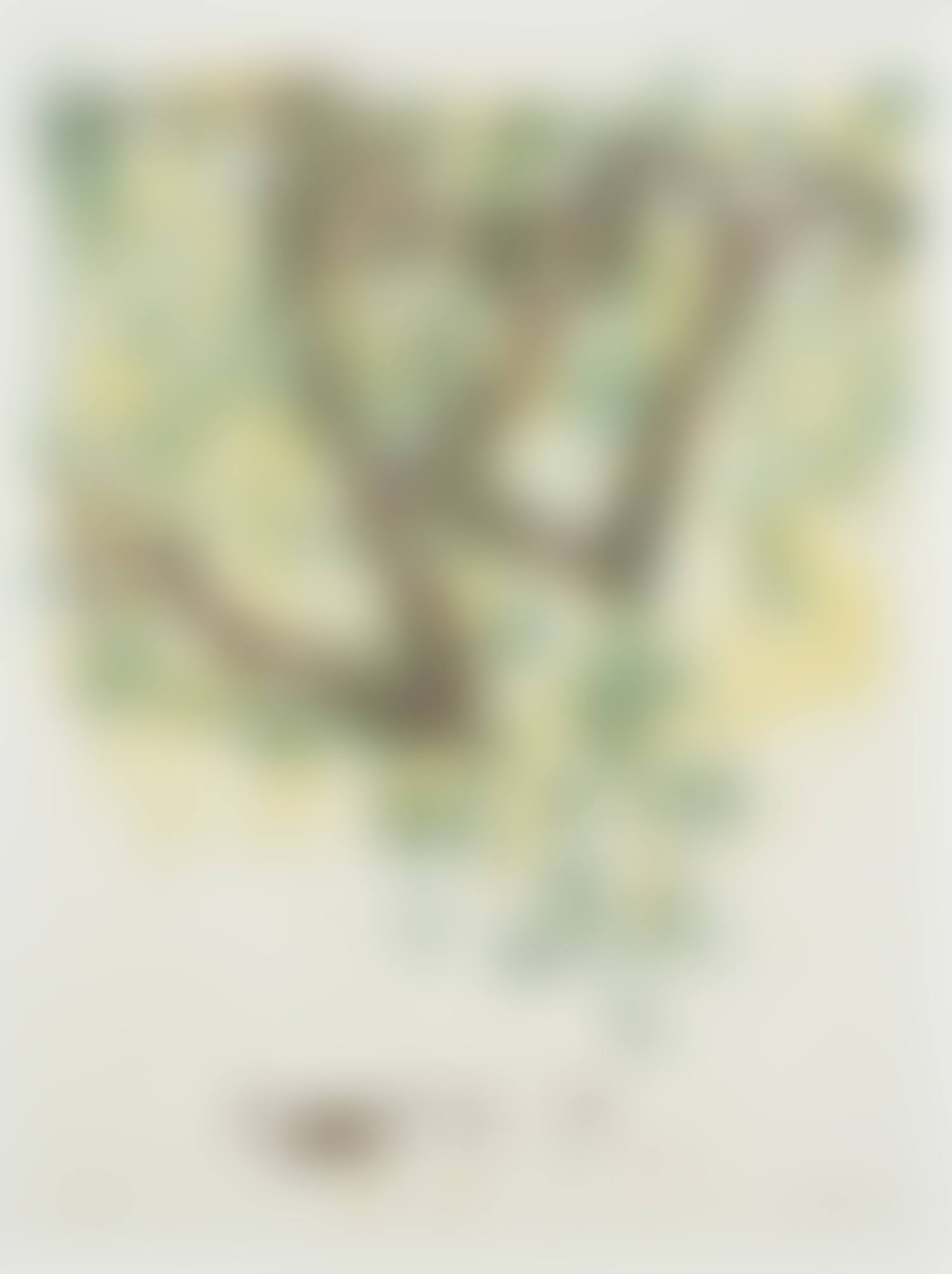 Hanging Frog (preview)