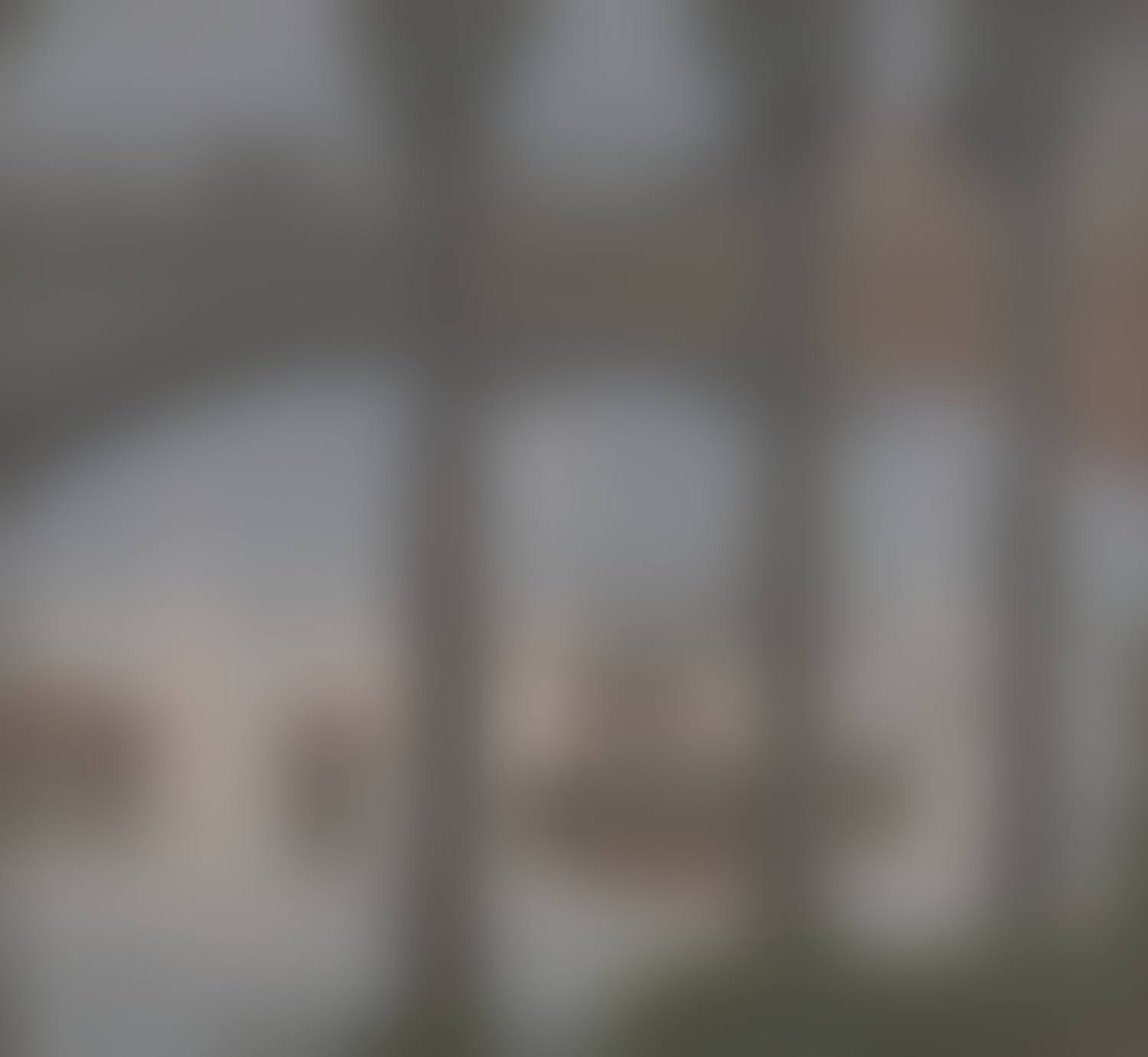 Princes Bridge (preview)