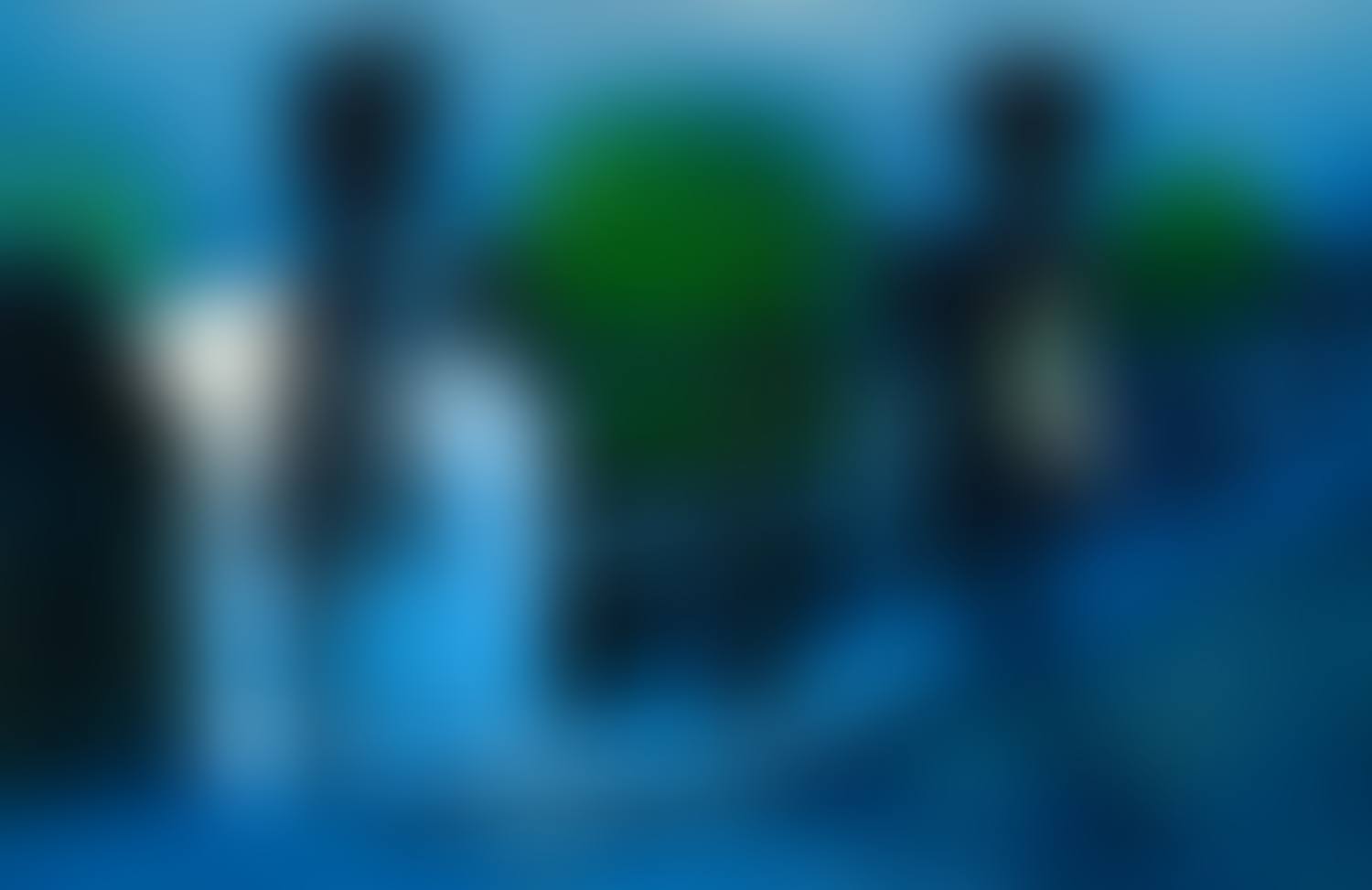 The Dream (preview)