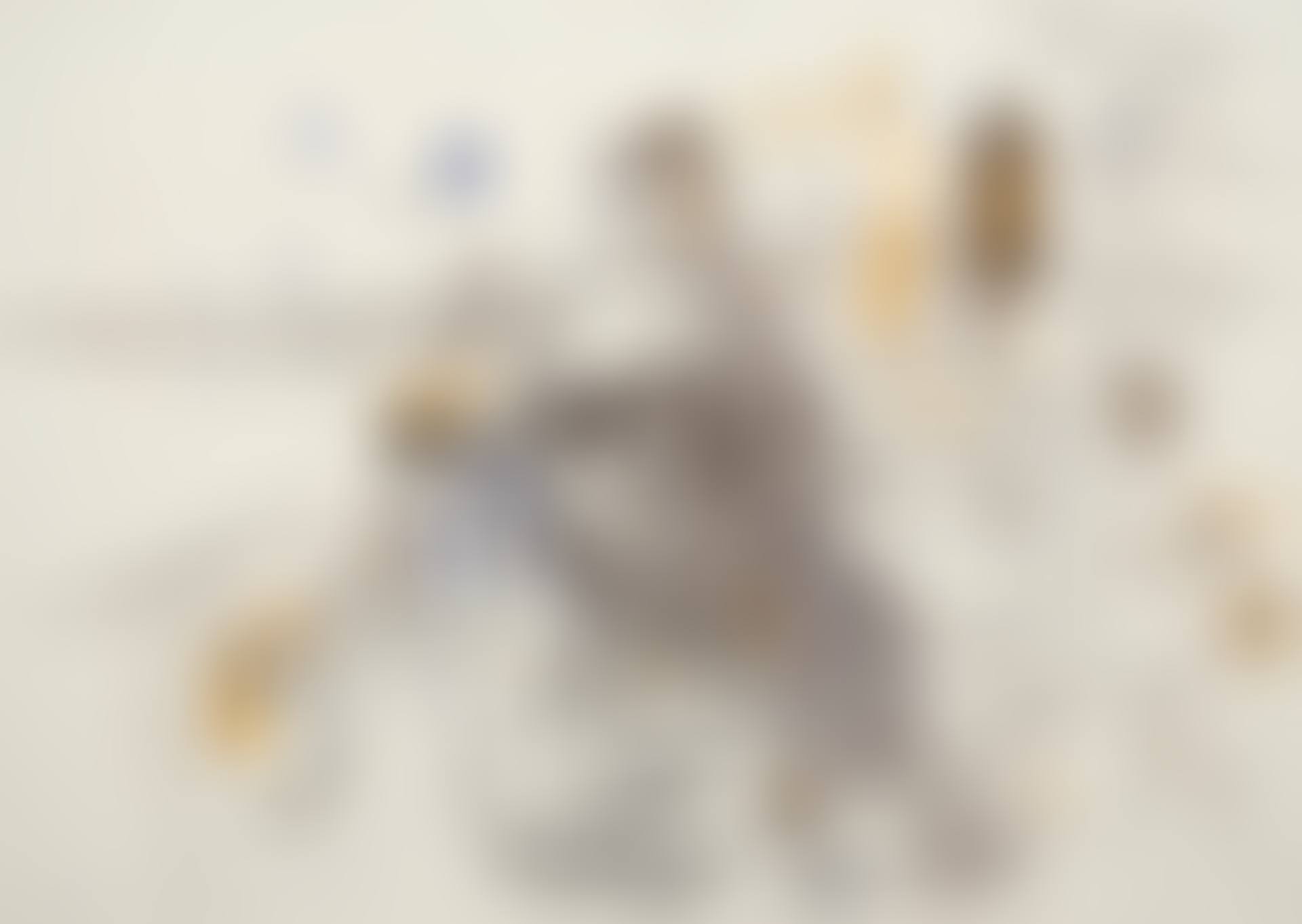 Drysdale and the Desert (preview)