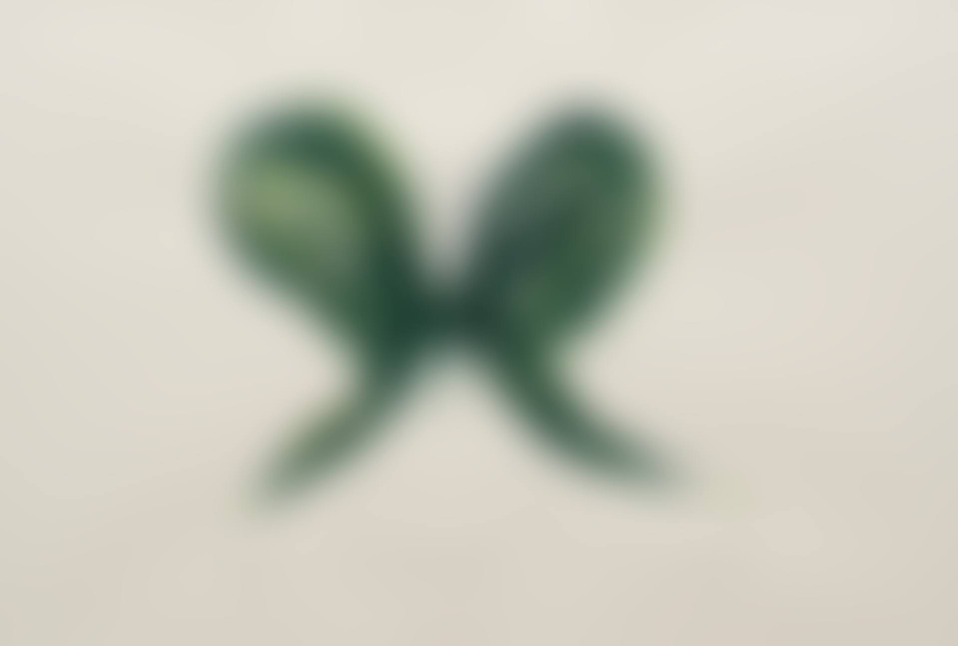 Leaf Butterfly (preview)