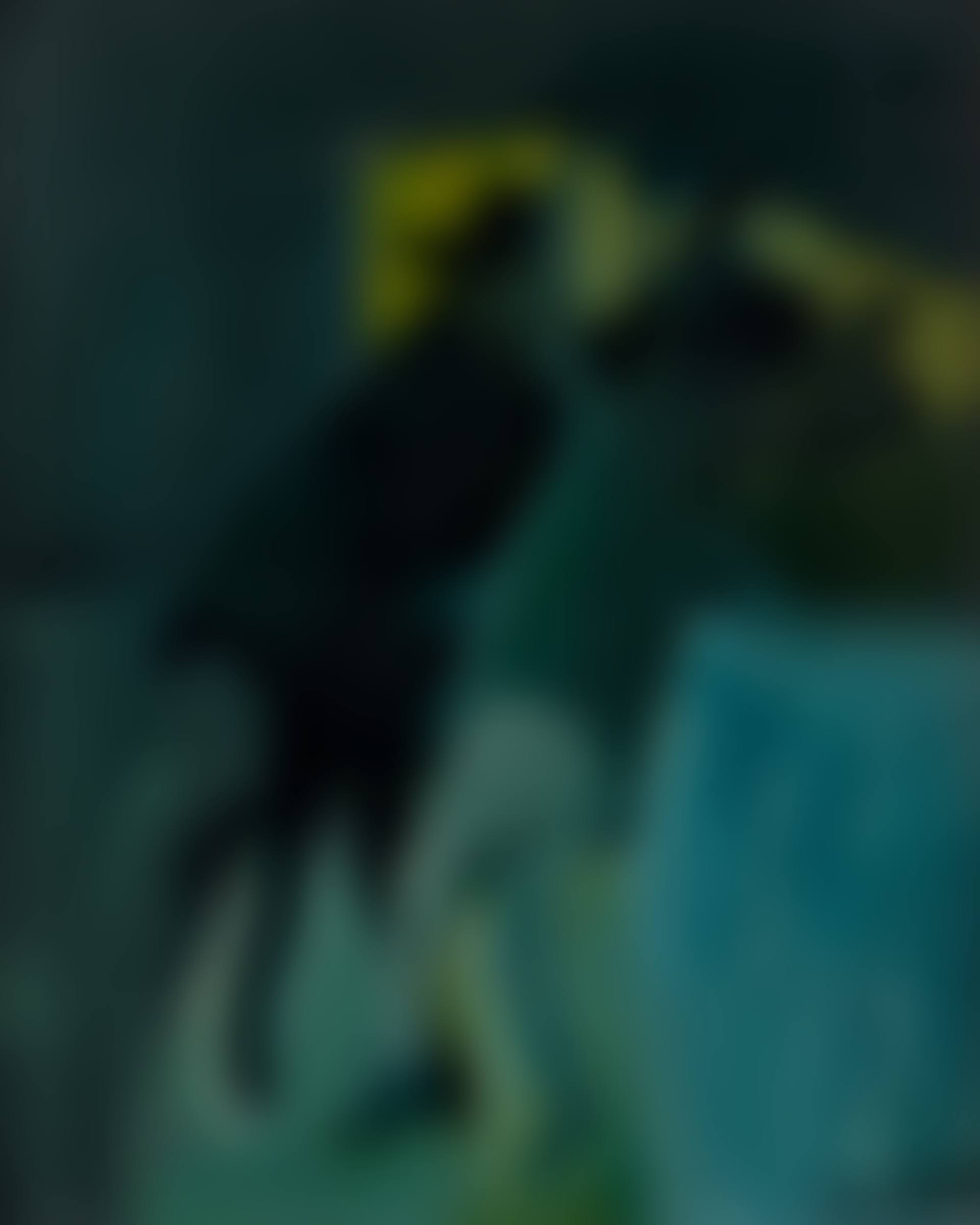The Confrontation (Figures Fighting) (preview)