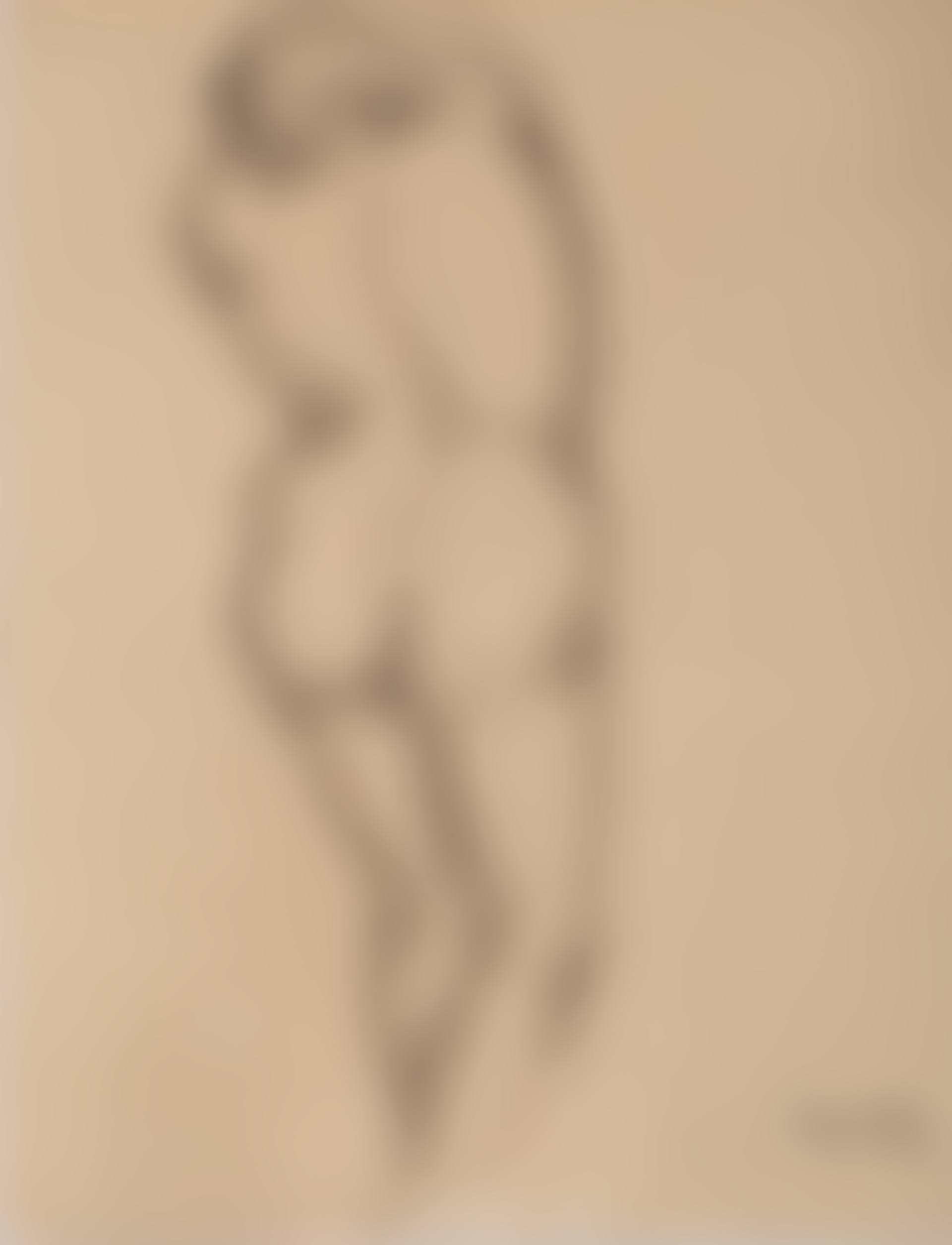 Nude backwards (Un nu de femme de dos) (preview)
