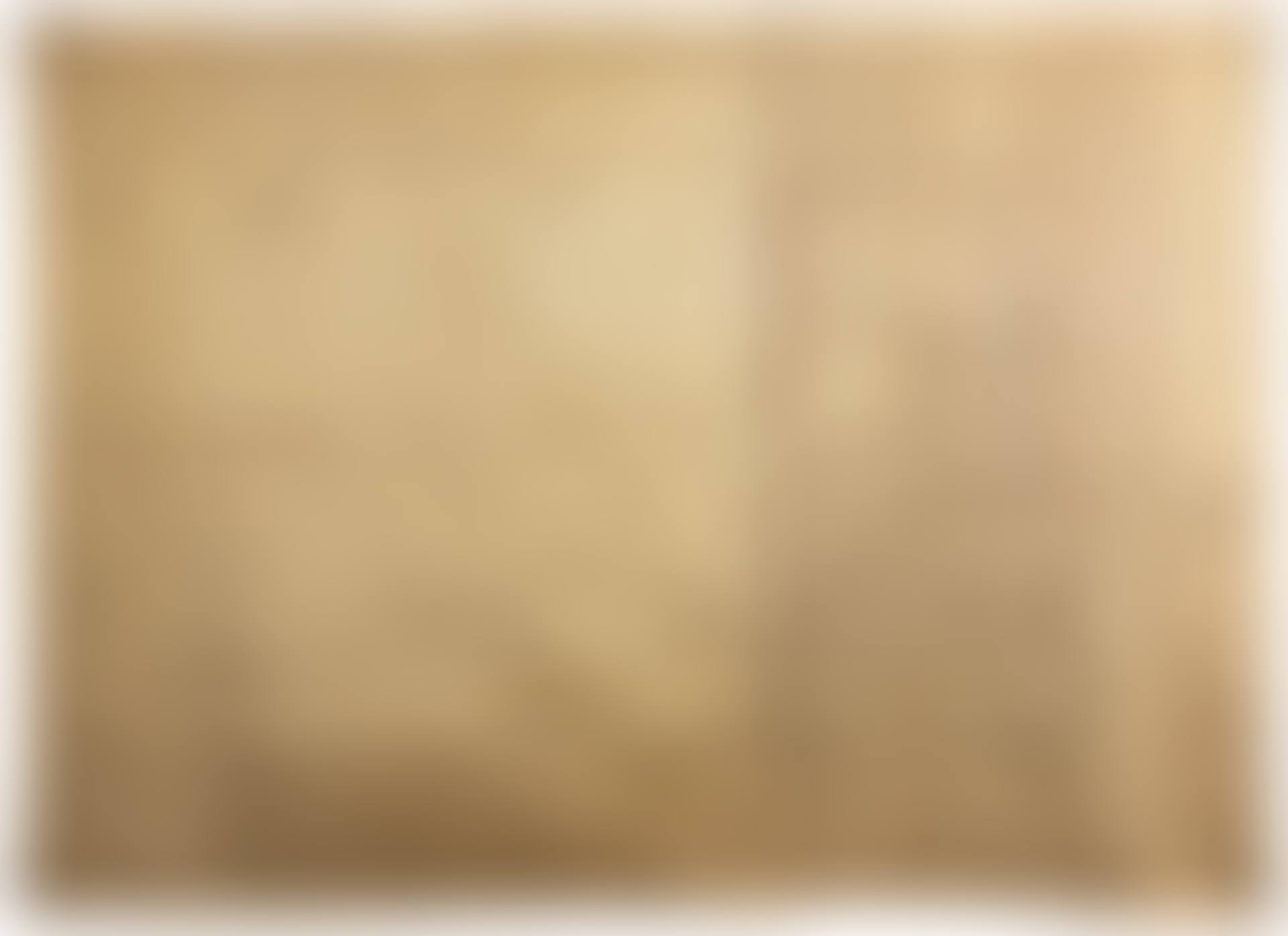 Buczacz tapestry (preview)