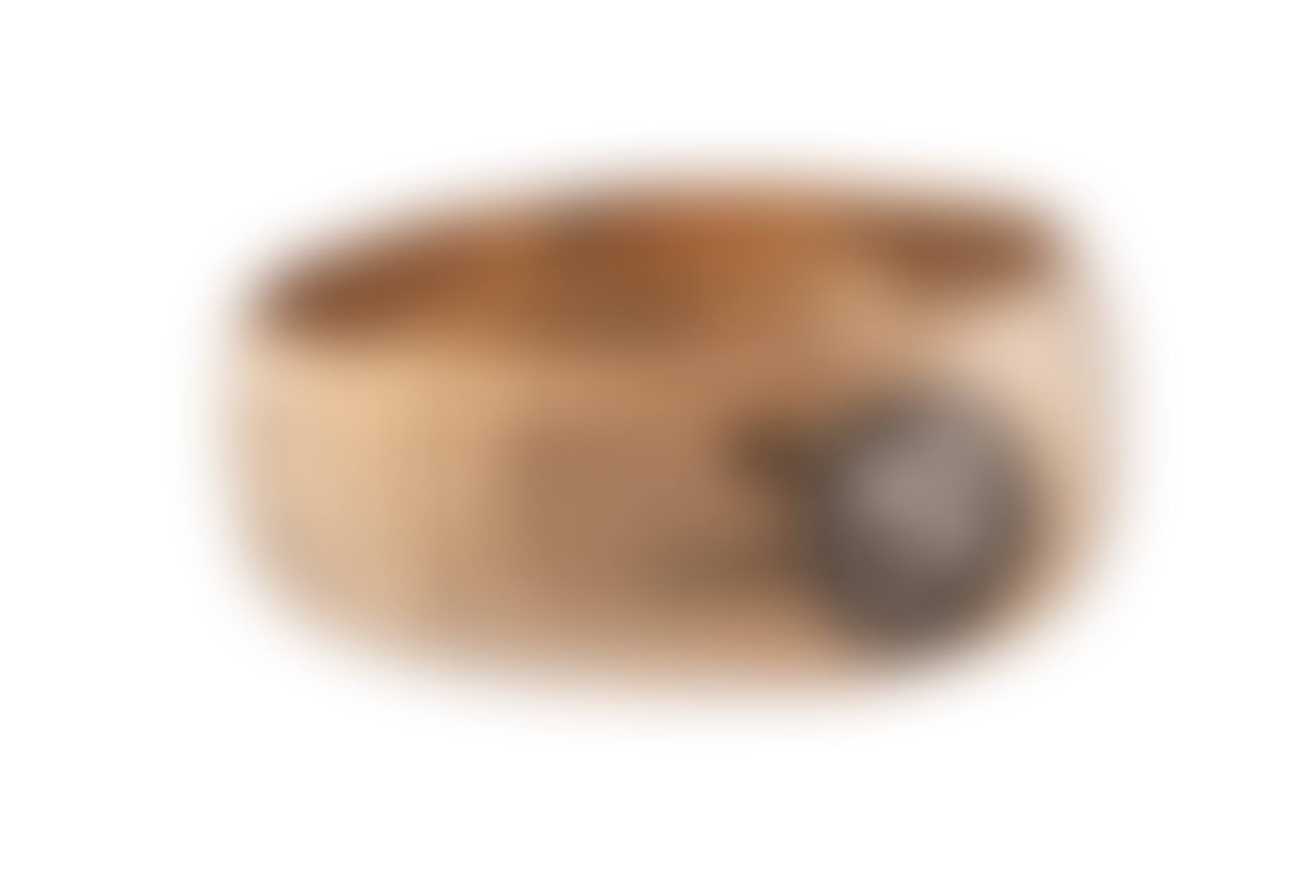 Signet ring (preview)