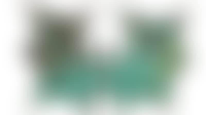 Bat (preview)