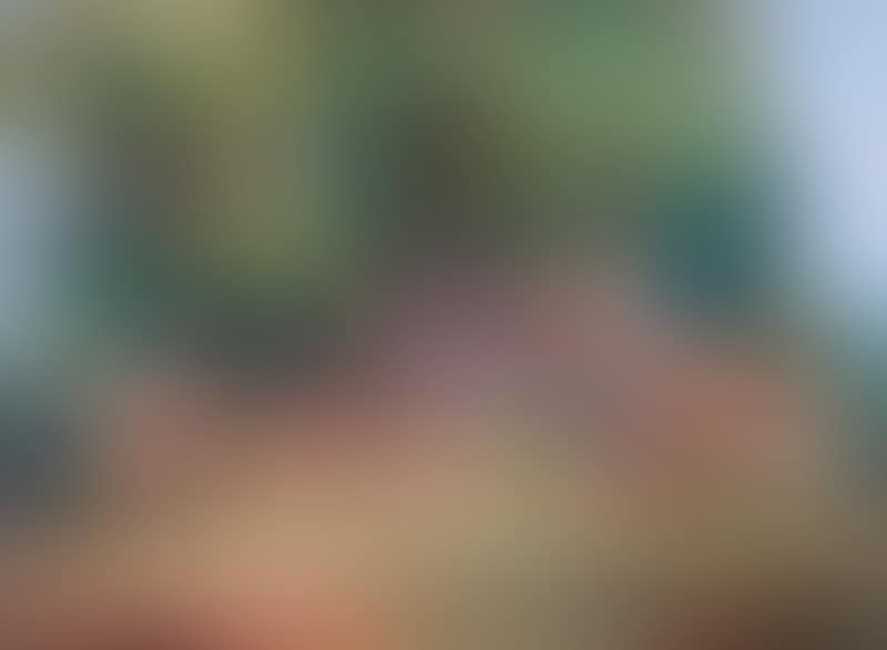Landscape with a house among trees (preview)