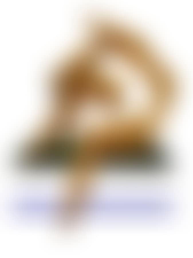 Fsnw (preview)