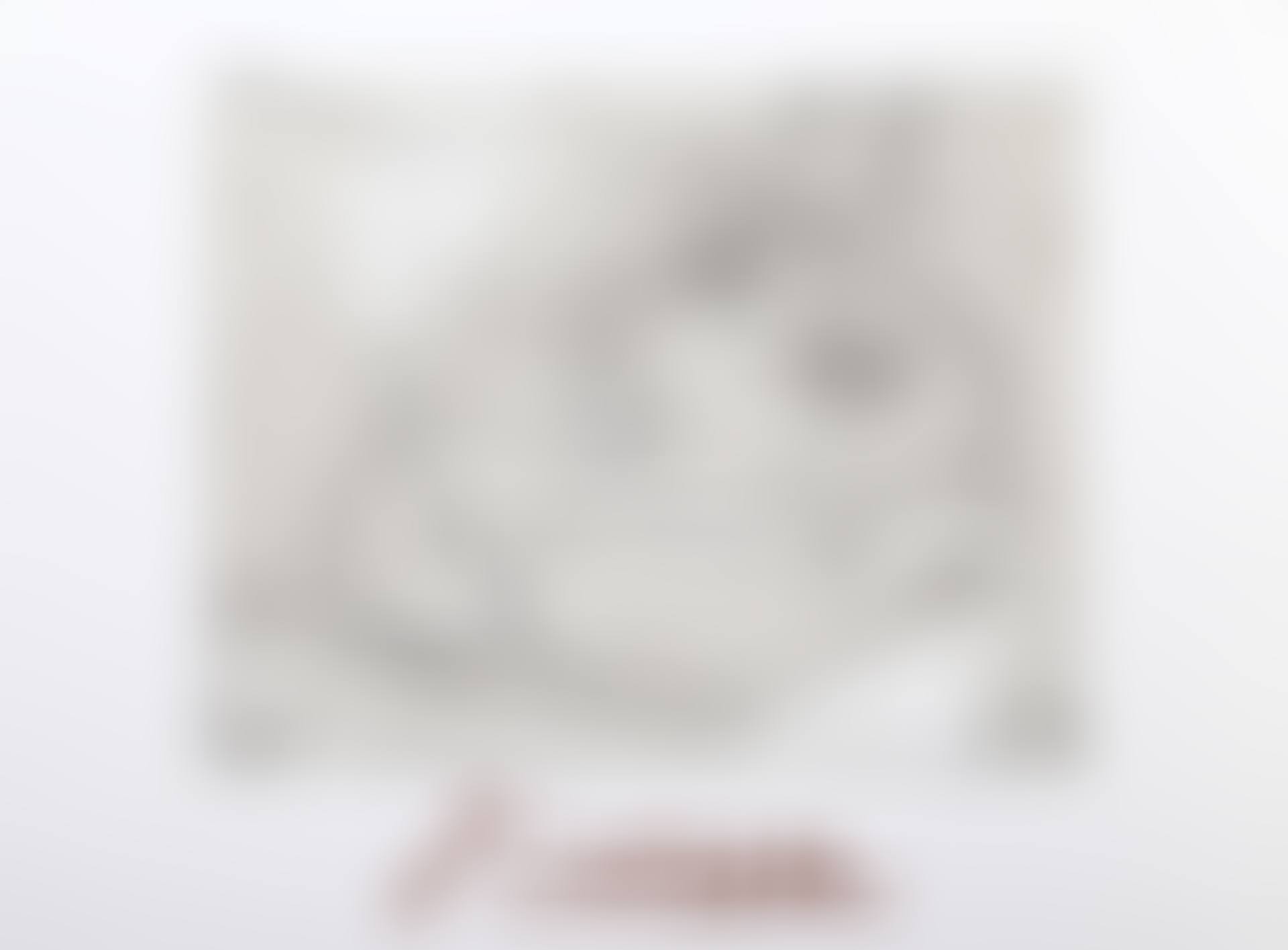 Nature Morte a la Palette et la Tete (preview)
