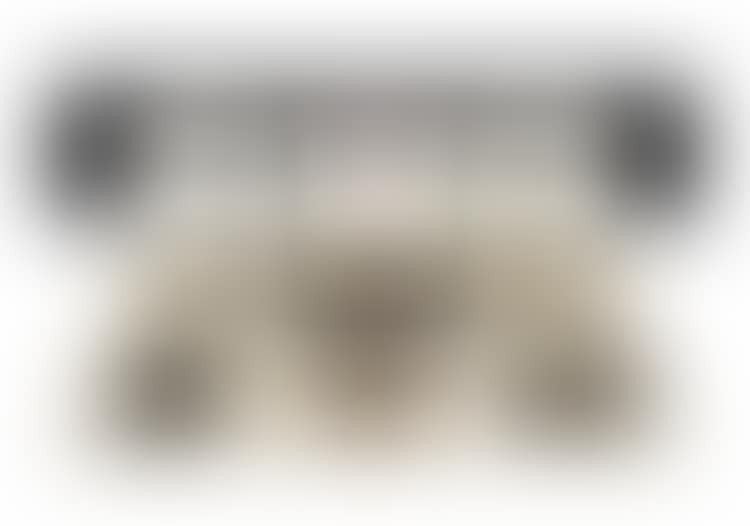 Mnemonic Pictures (preview)