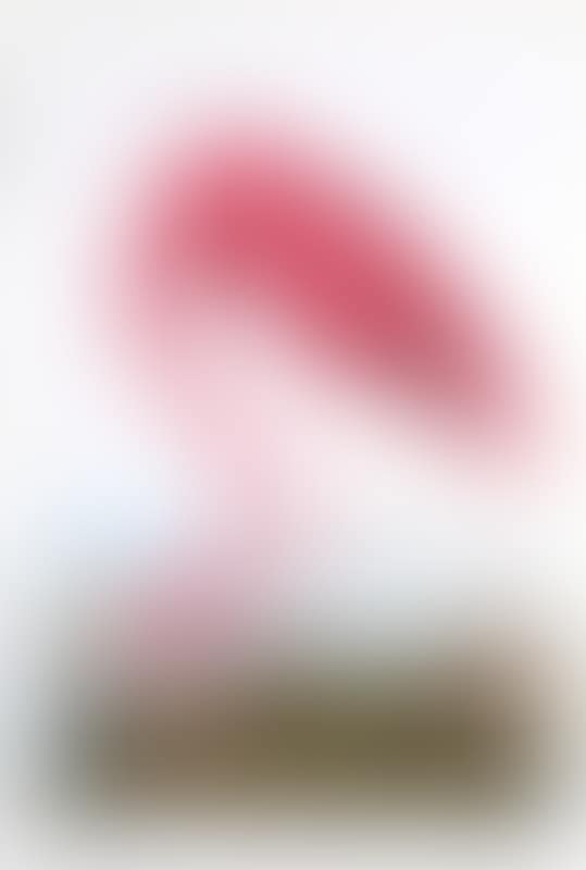 American Flamingo (preview)