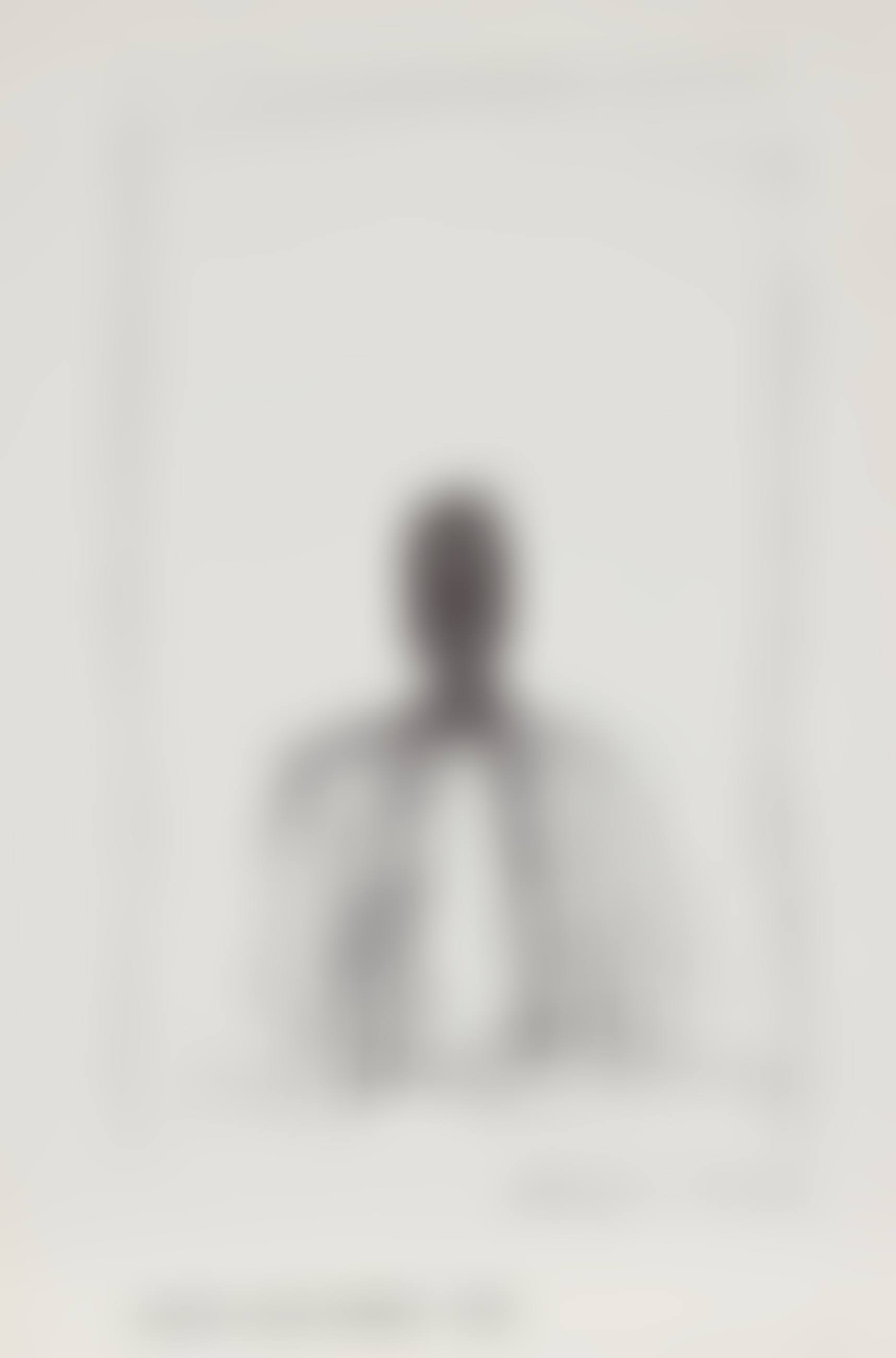Galerie Claude Bernard / Paris (preview)