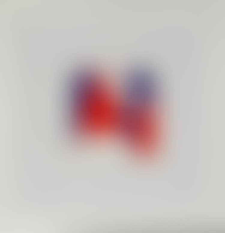 The American Art (preview)