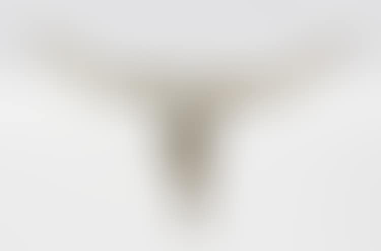 Steer Skull (preview)