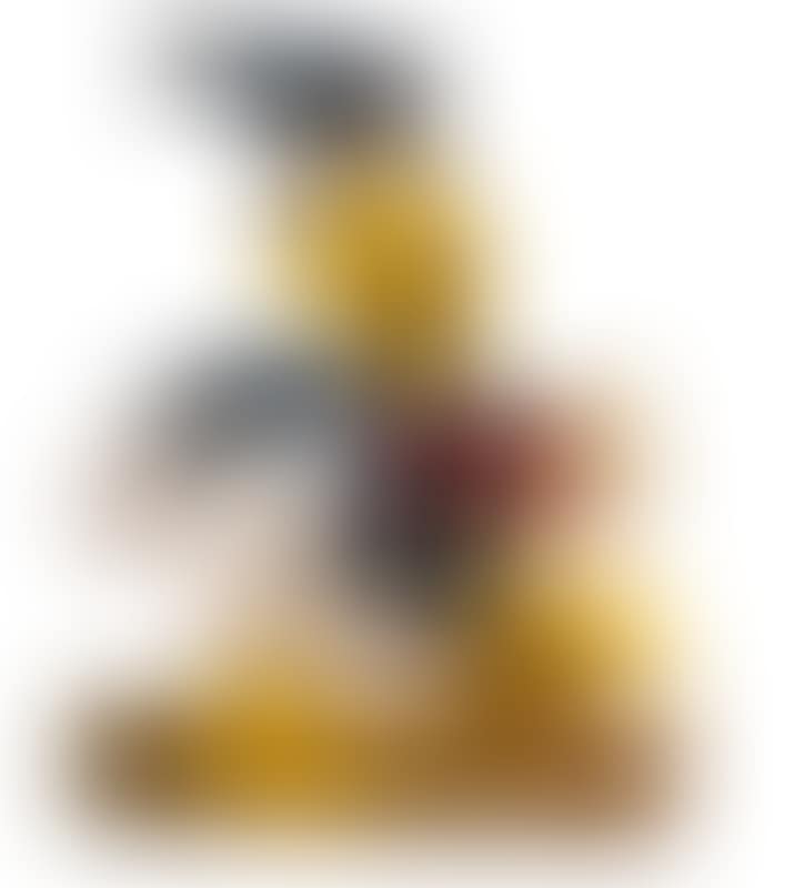 Disney"s Donald Duck (preview)