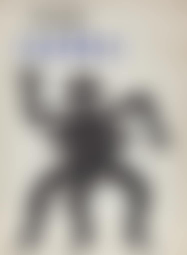 Derrier le Miroir (Cover) (preview)
