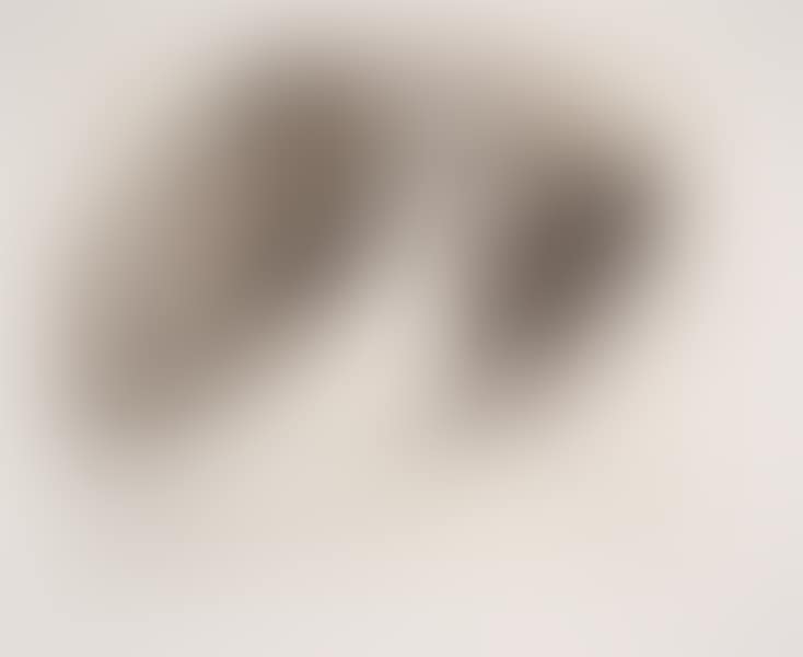 Pigeons, 27-3 - Year of Original (preview)