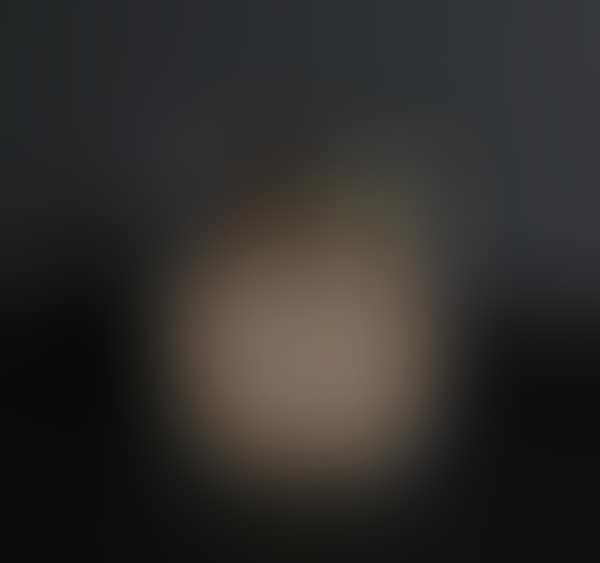 Pre-Columbian Artifact; Untitled (Head Pin) (preview)