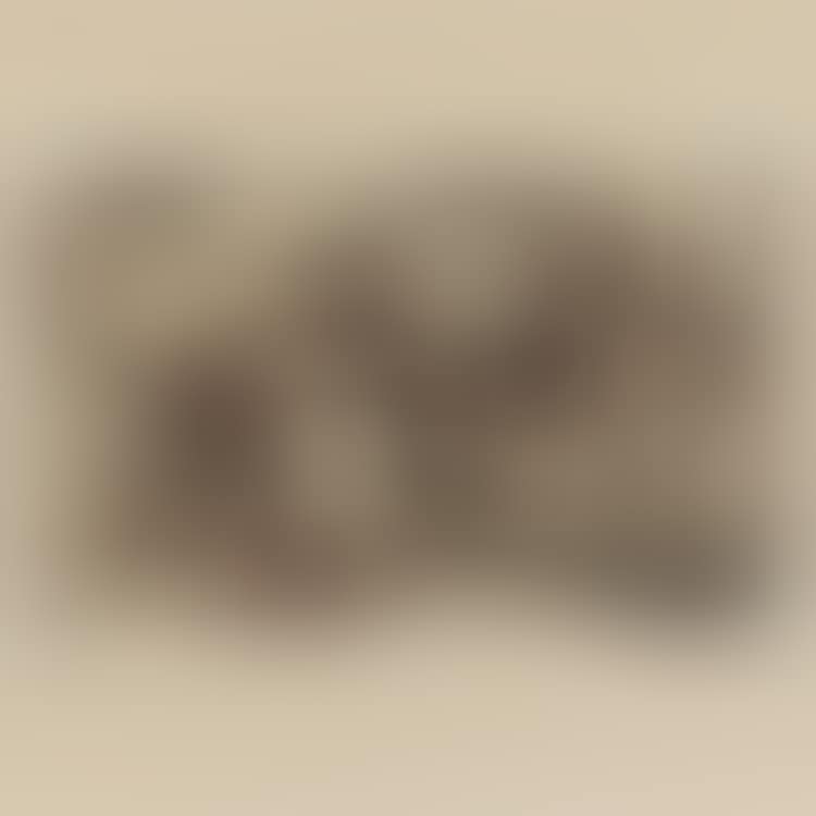 "Das Tier" (preview)
