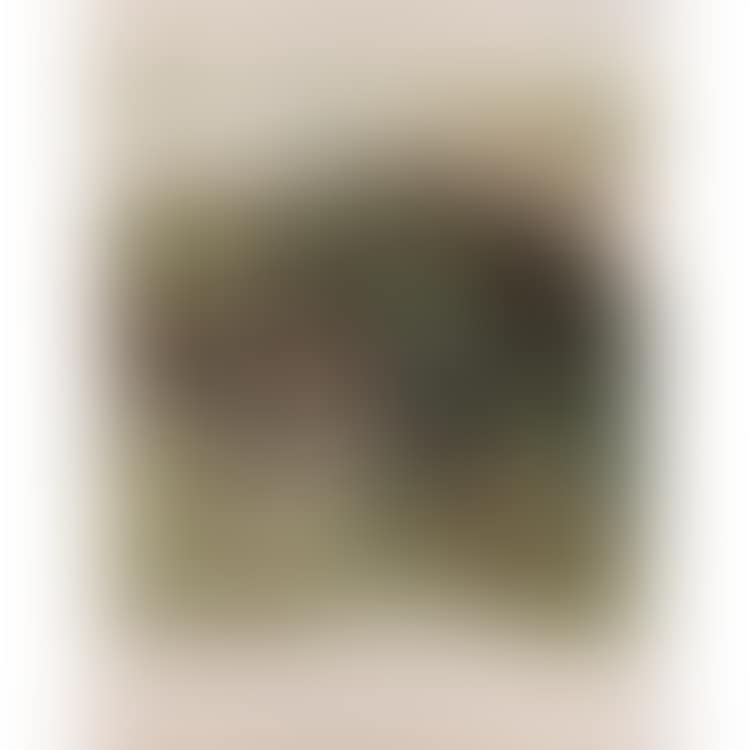 "L IX" (preview)