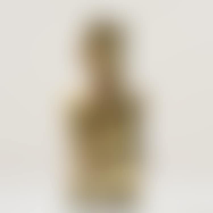 Sculpture "Mannequin zootropique" (preview)
