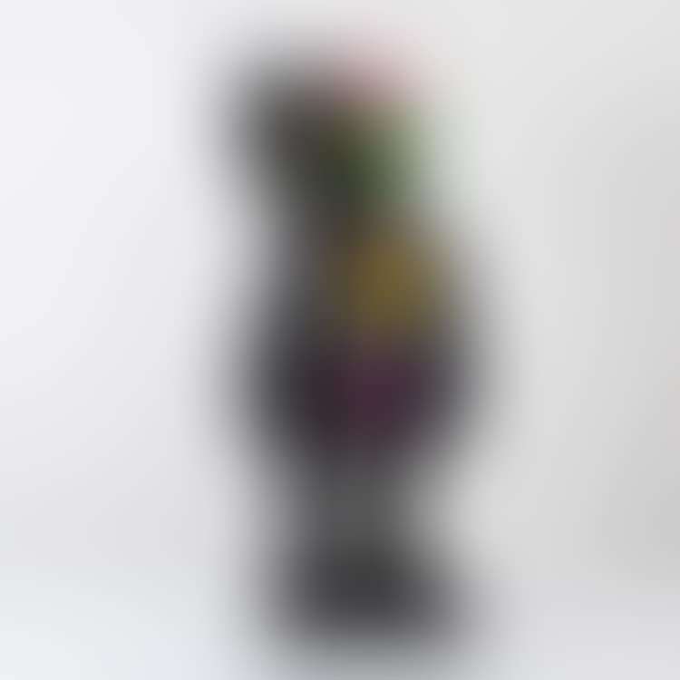 "Four Foot Dissected Companion (Black)" (preview)