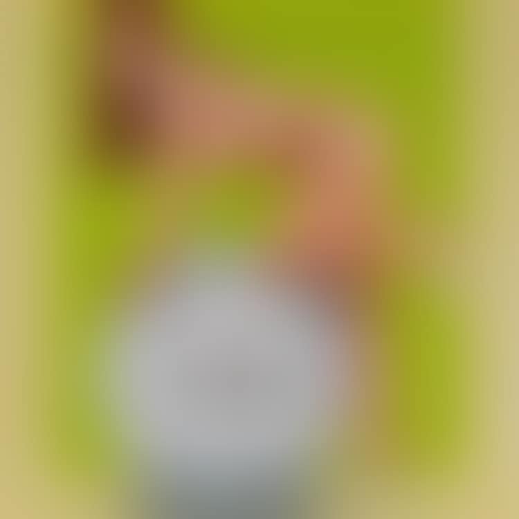 "Top Flite II"; "Top Flite II" (preview)